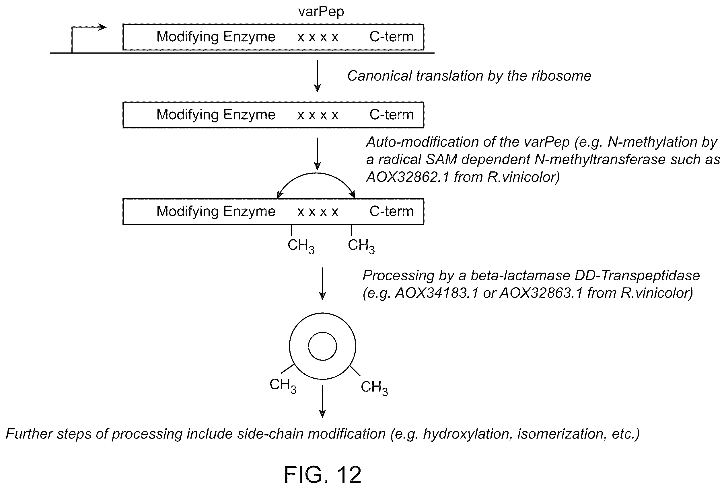 Patent US12410487 Figure 12 – Selective modulation of protein-protein interactions