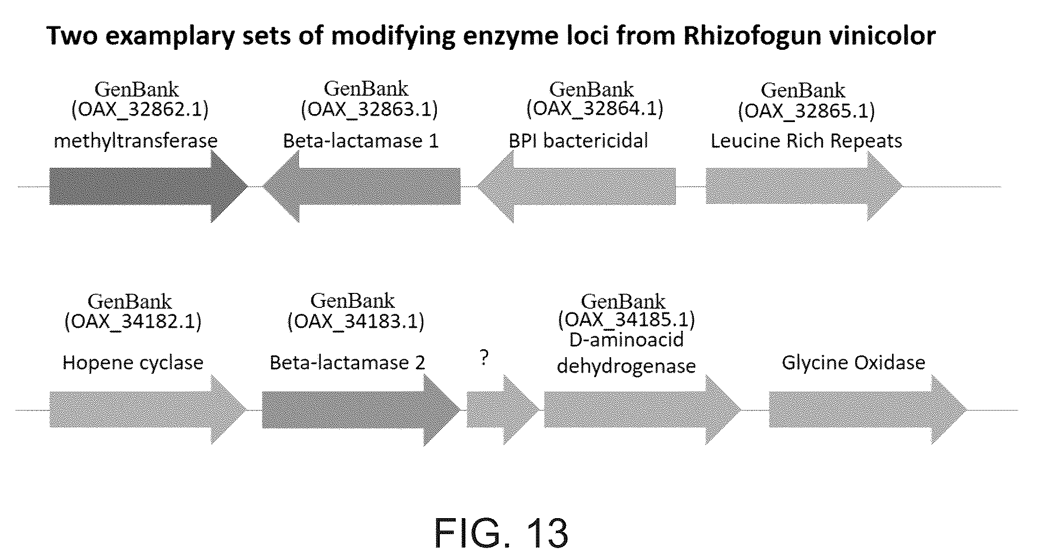 Patent US12410487 Figure 13 – Selective modulation of protein-protein interactions