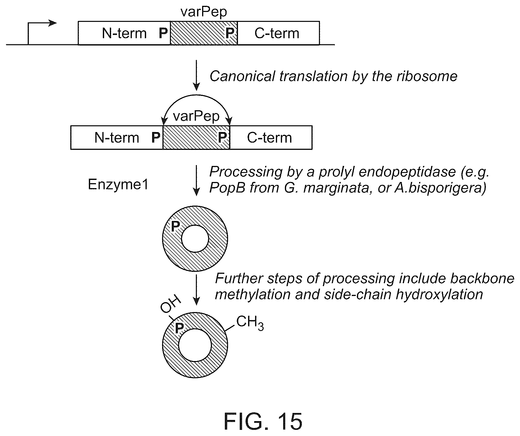 Patent US12410487 Figure 15 – Selective modulation of protein-protein interactions