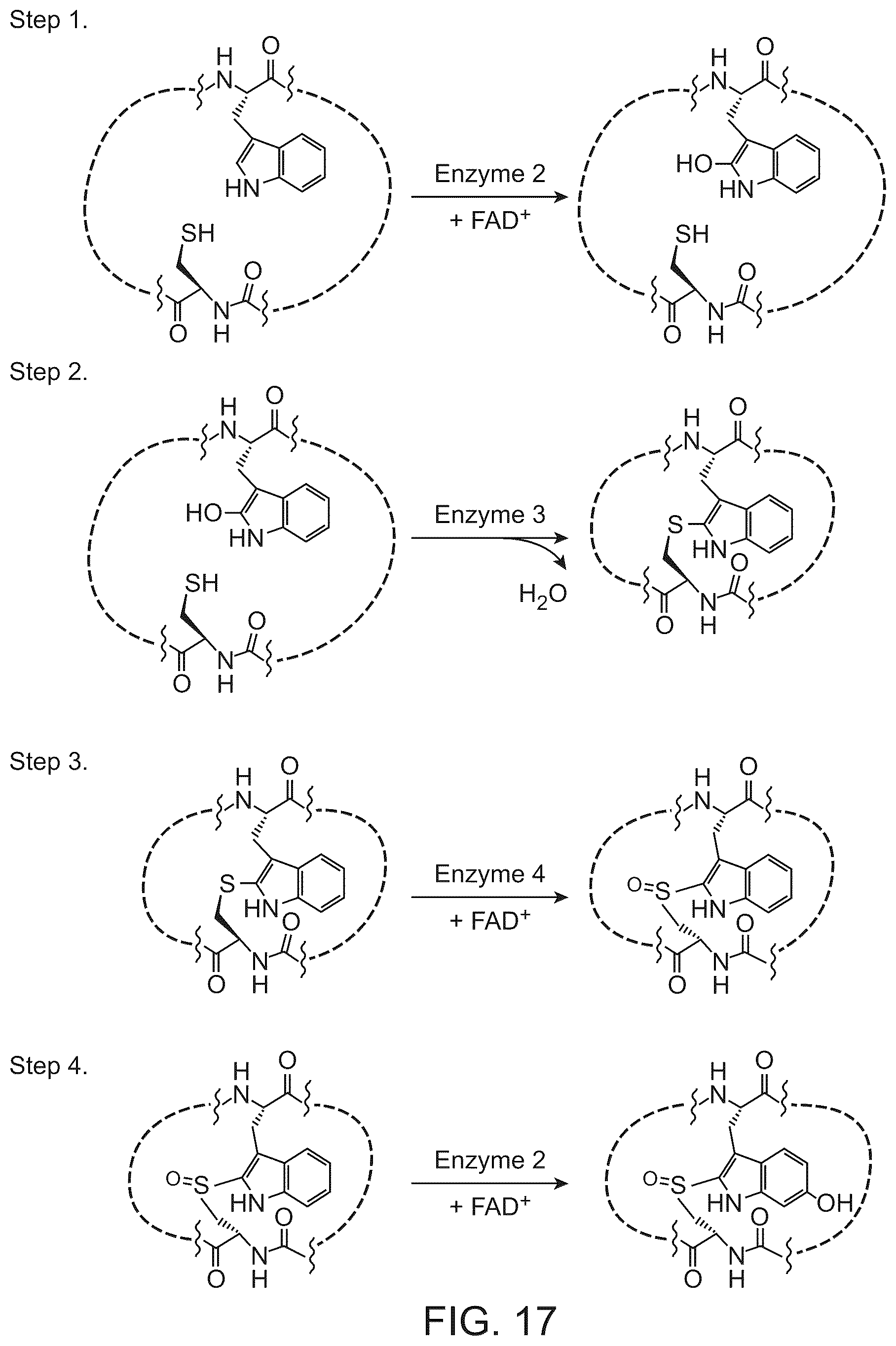 Patent US12410487 Figure 17 – Selective modulation of protein-protein interactions