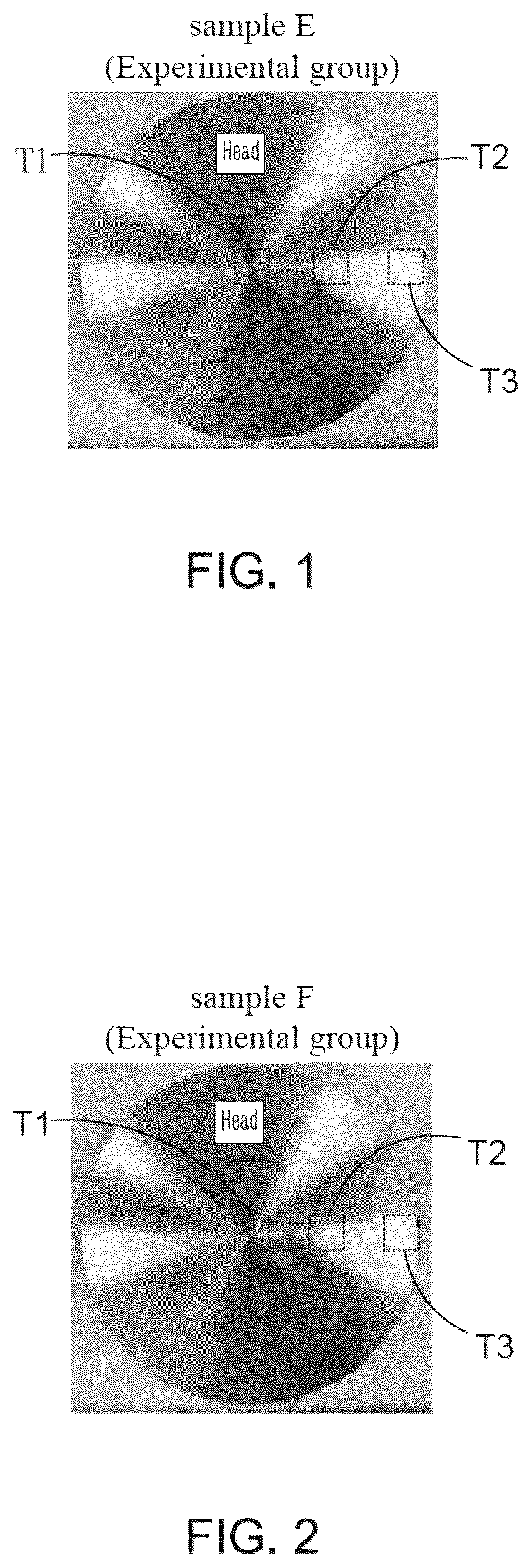 Patent US12410495 Figure 1 – Magnesium-lithium-aluminum-zinc alloy suitable for being processed through air melt and structural article