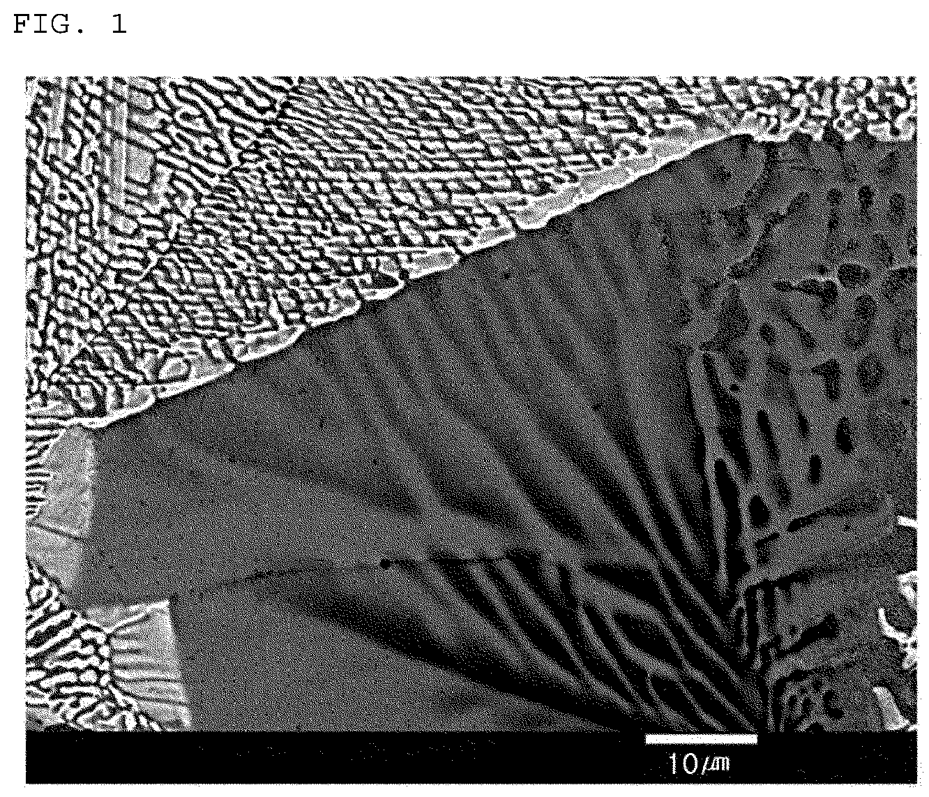 Patent US12410503 Figure 1 – Plated steel sheet having excellent corrosion resistance and bendability and method for manufacturing same
