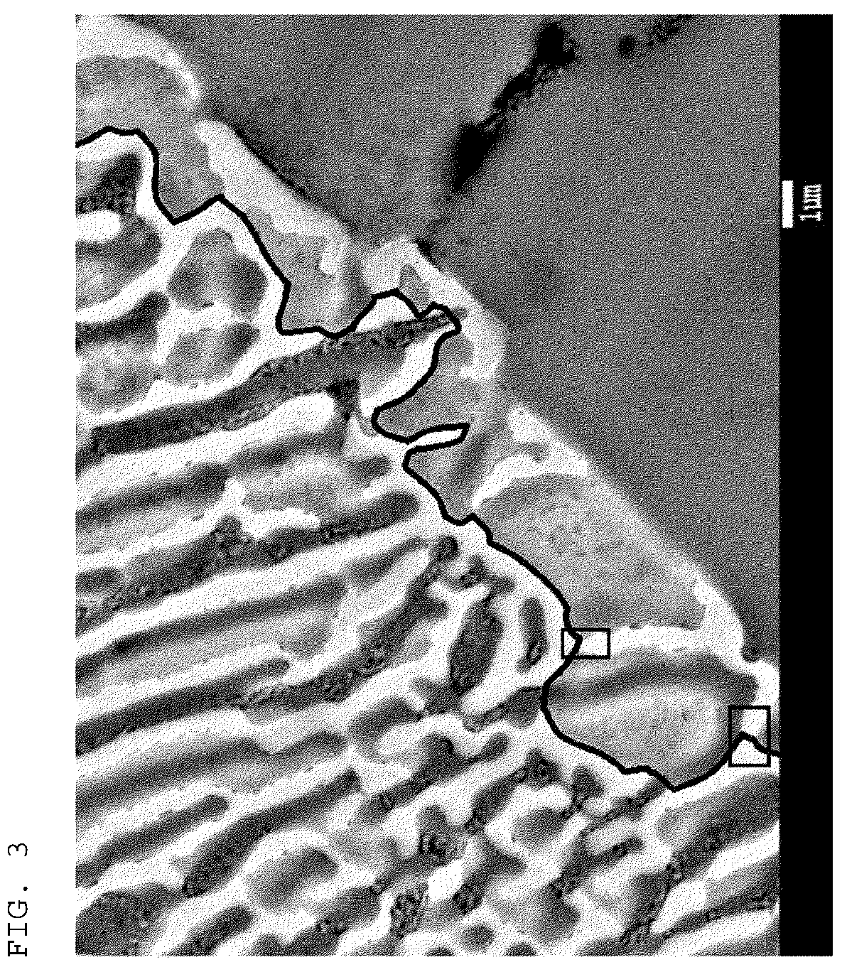 Patent US12410503 Figure 3 – Plated steel sheet having excellent corrosion resistance and bendability and method for manufacturing same