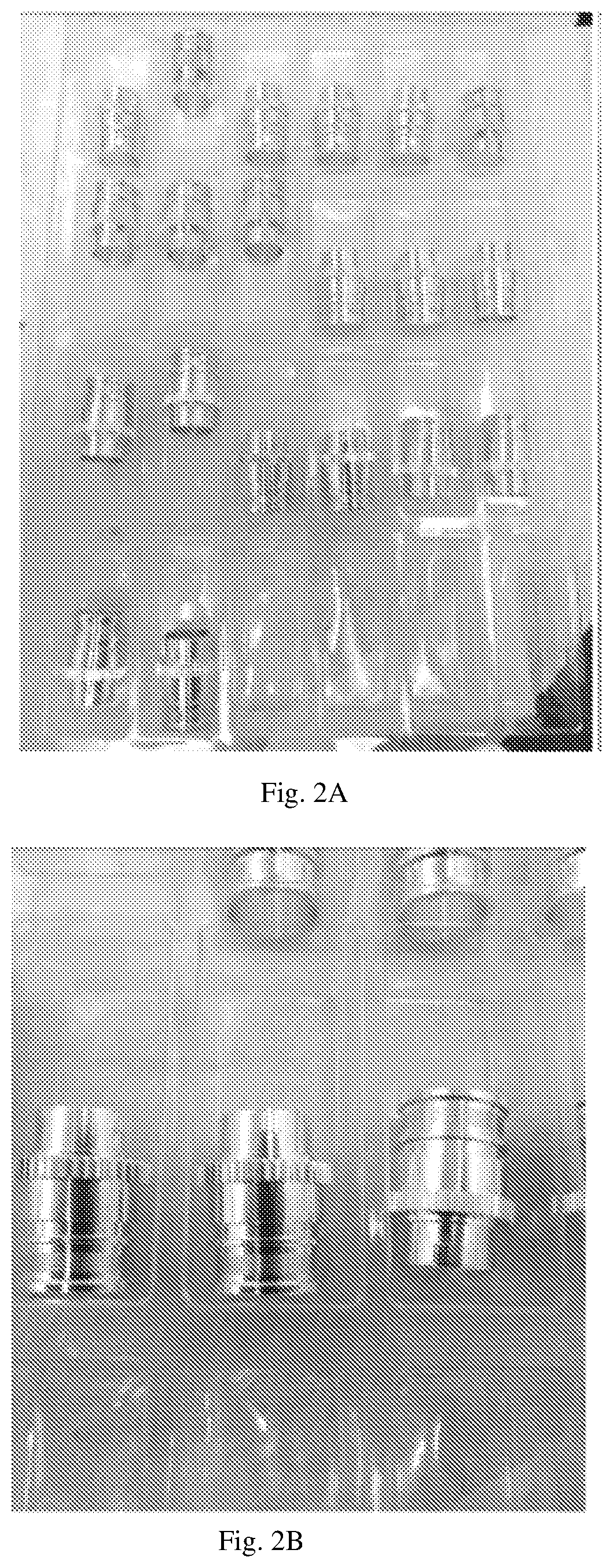 Patent US12410525 Figure 2 – Multilayer corrosion system