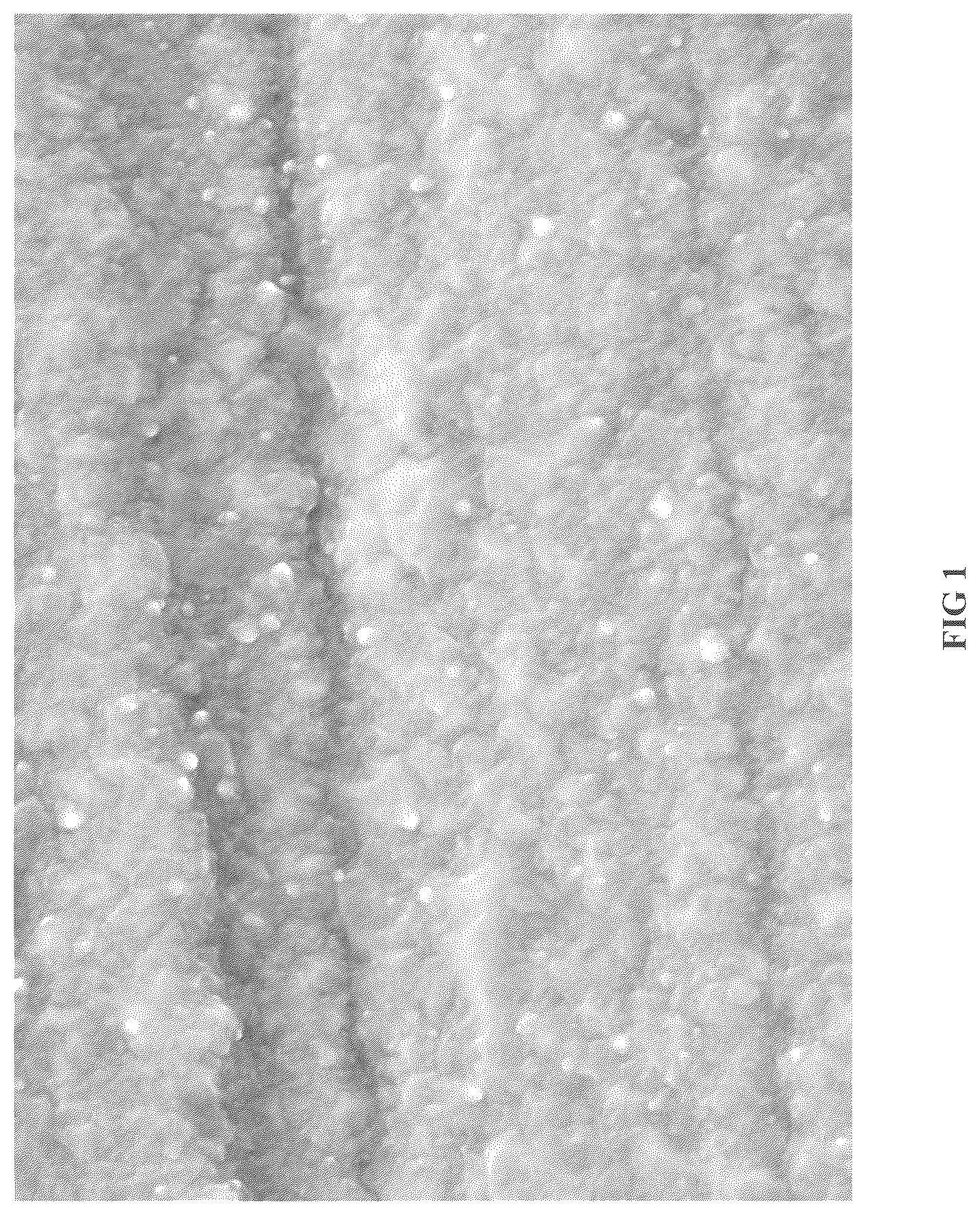 Patent US12410534 — Nickel electroplating compositions for rough nickel — Figure 1
