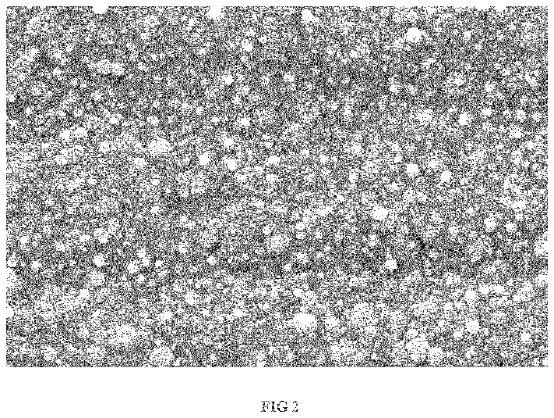 Patent US12410534 Figure 2 – Nickel electroplating compositions for rough nickel