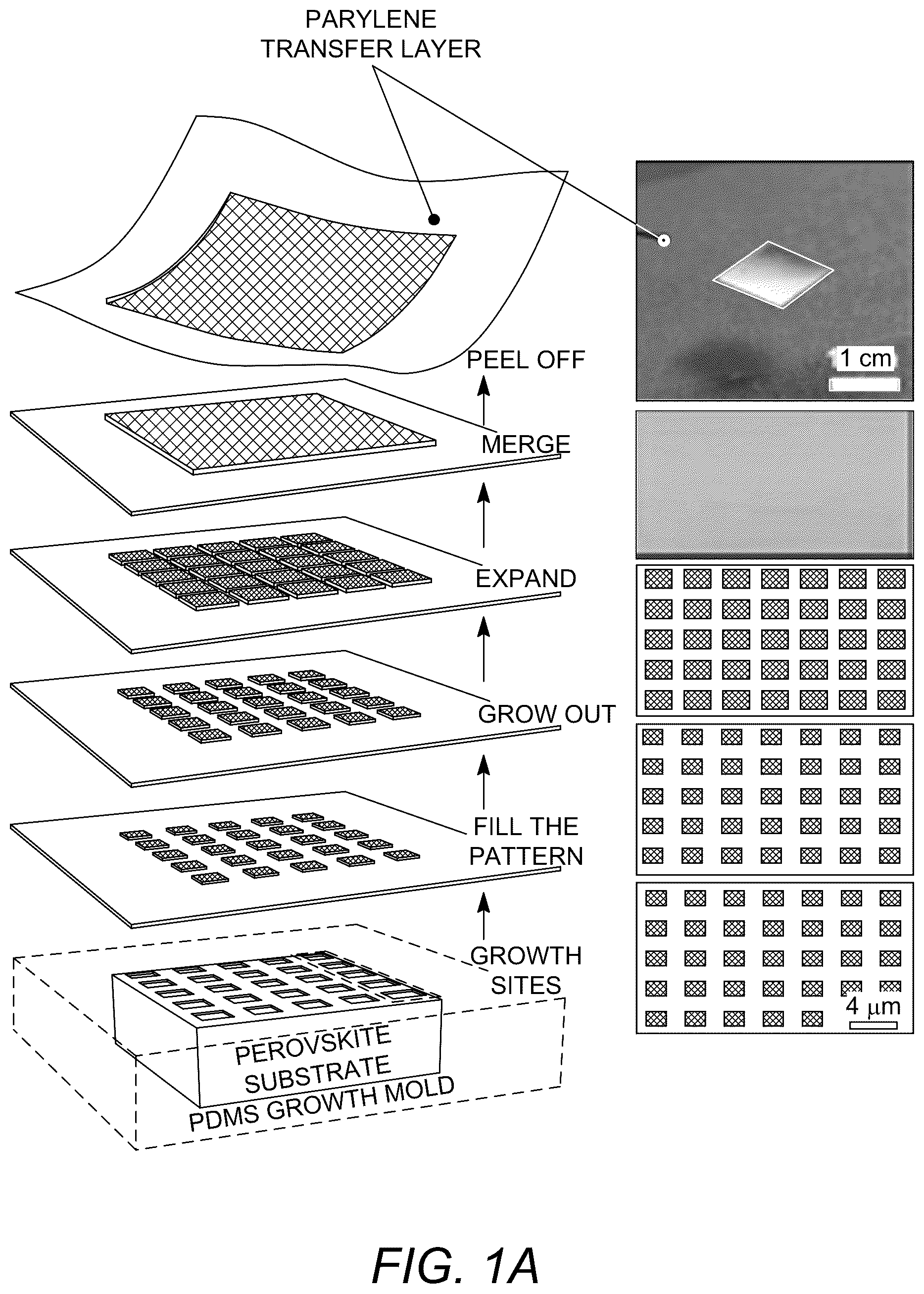 Patent US12410537 Figure 1 – Fabrication process for flexible single-crystal perovskite devices