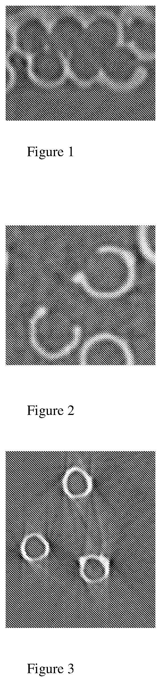 Patent US12410555 Figure 1 – Metal-covered liquid crystal polyester multifilament