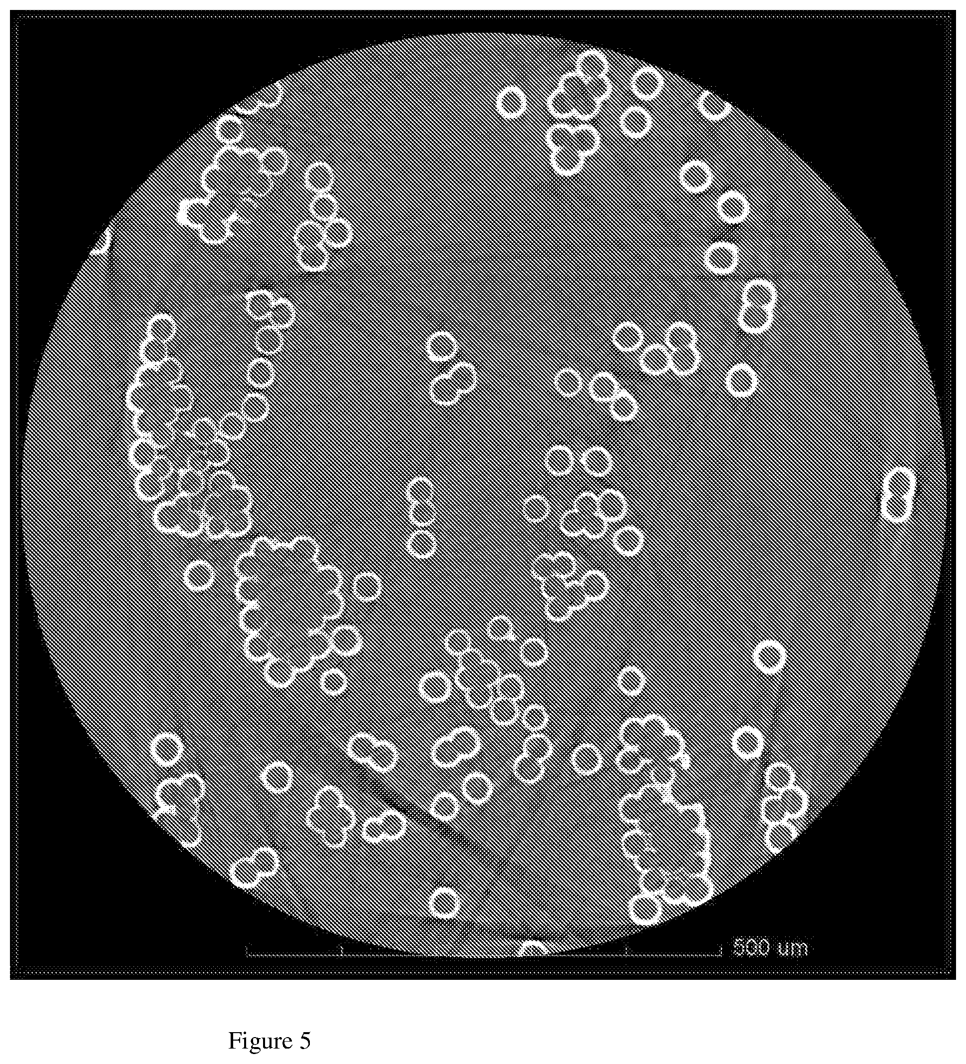 Patent US12410555 Figure 3 – Metal-covered liquid crystal polyester multifilament