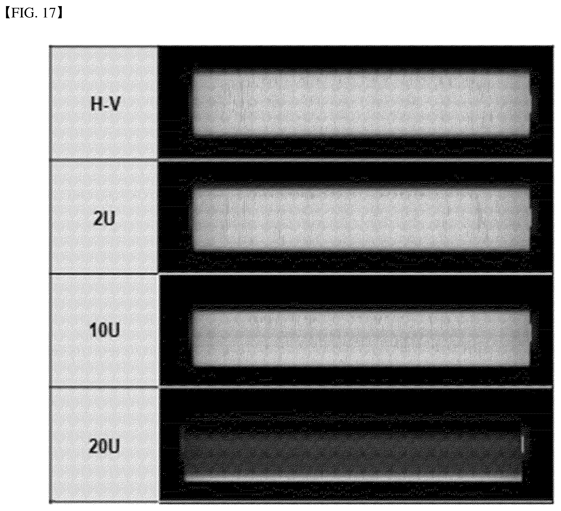 Patent US12410901 Figure 16 – Lighting device