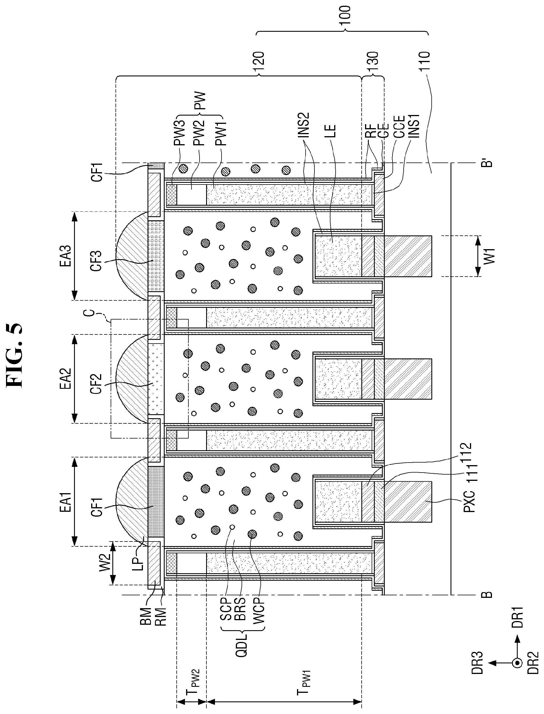 Patent US12414413 Figure 5 – Display device