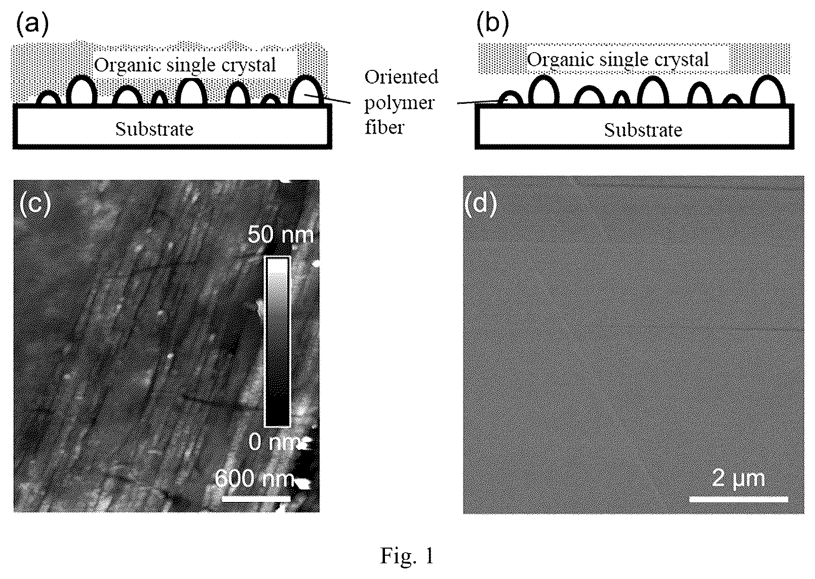 Patent US12414462 — Organic single crystal composite oriented polymer membrane, preparation method therefor, optoelectronic device and application thereof — Figure 1