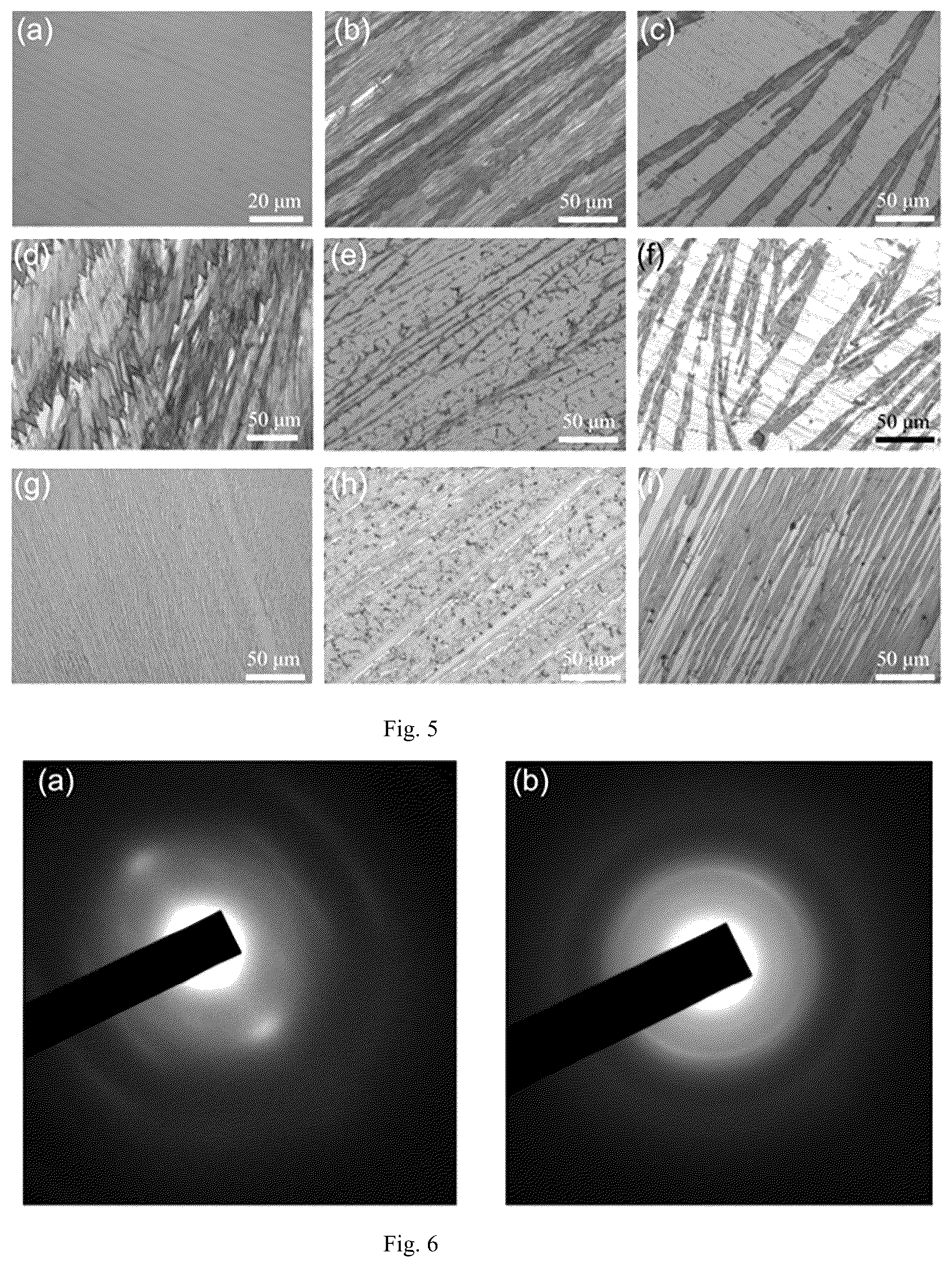 Patent US12414462 Figure 4 – Organic single crystal composite oriented polymer membrane, preparation method therefor, optoelectronic device and application thereof