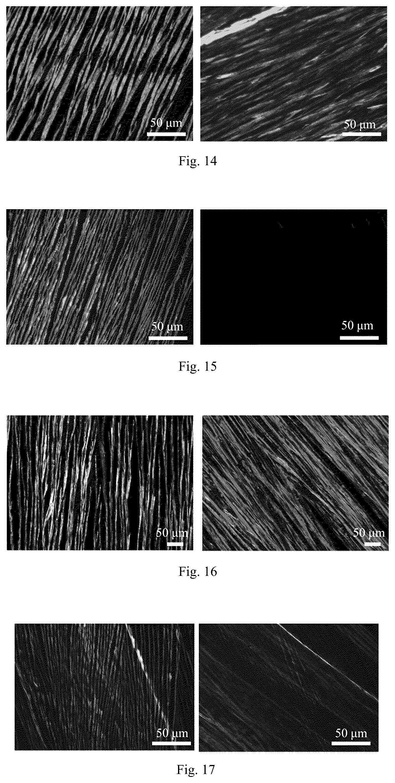 Patent US12414462 Figure 9 – Organic single crystal composite oriented polymer membrane, preparation method therefor, optoelectronic device and application thereof