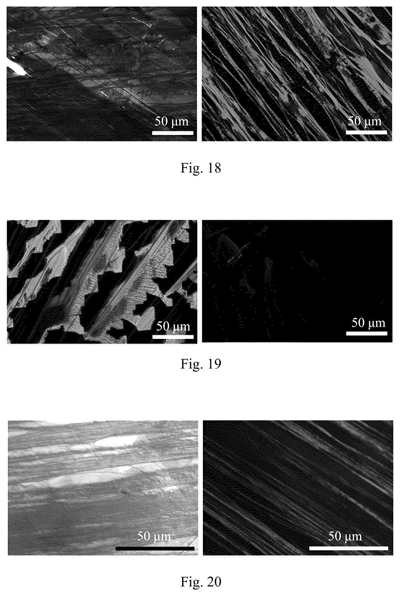 Patent US12414462 Figure 10 – Organic single crystal composite oriented polymer membrane, preparation method therefor, optoelectronic device and application thereof