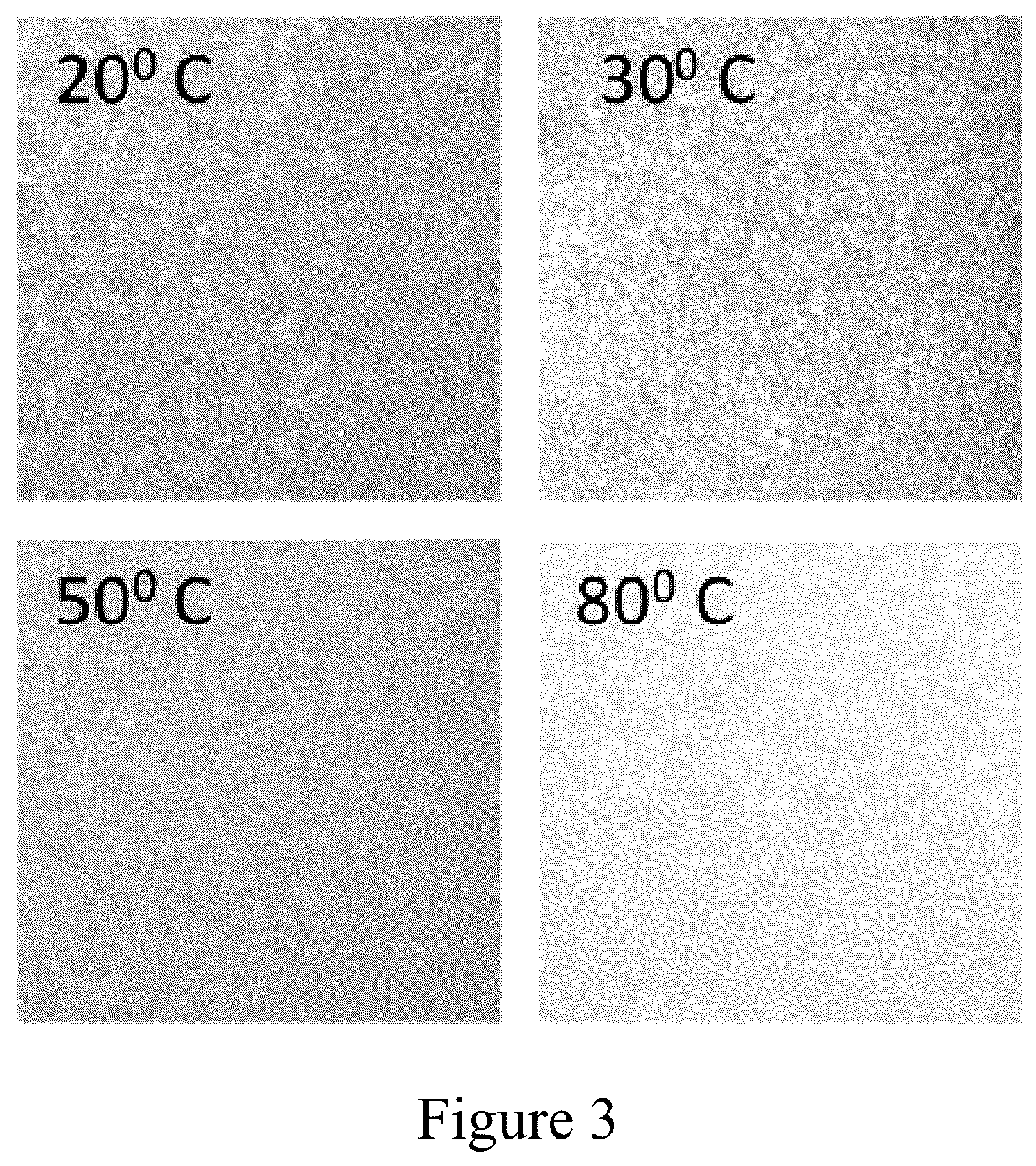 Patent US12414469 Figure 3 – Manufacturing of a flexible piezoelectric film-based power source