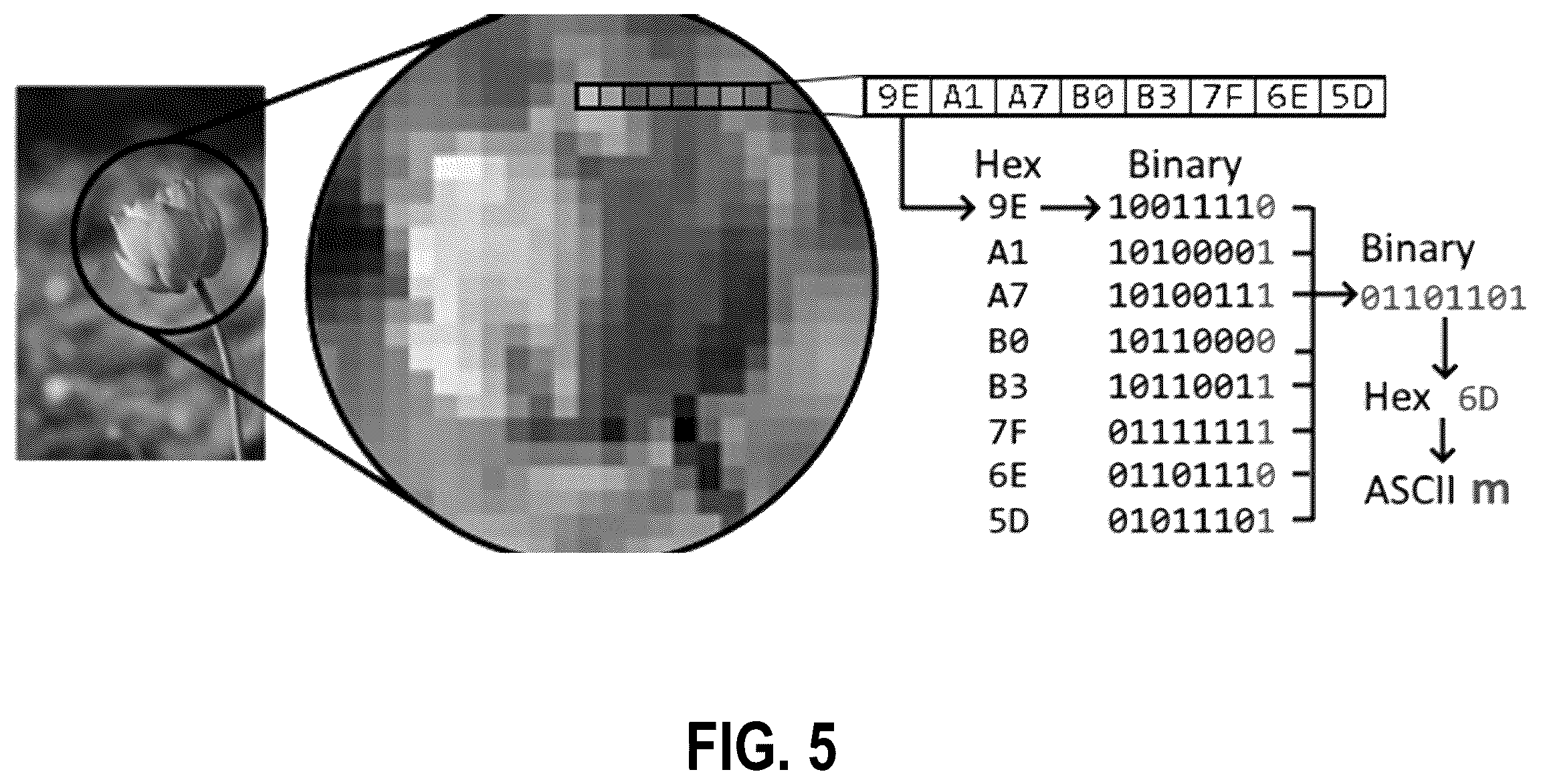Patent US12417263 Figure 5 – Web browser extension script obfuscation system