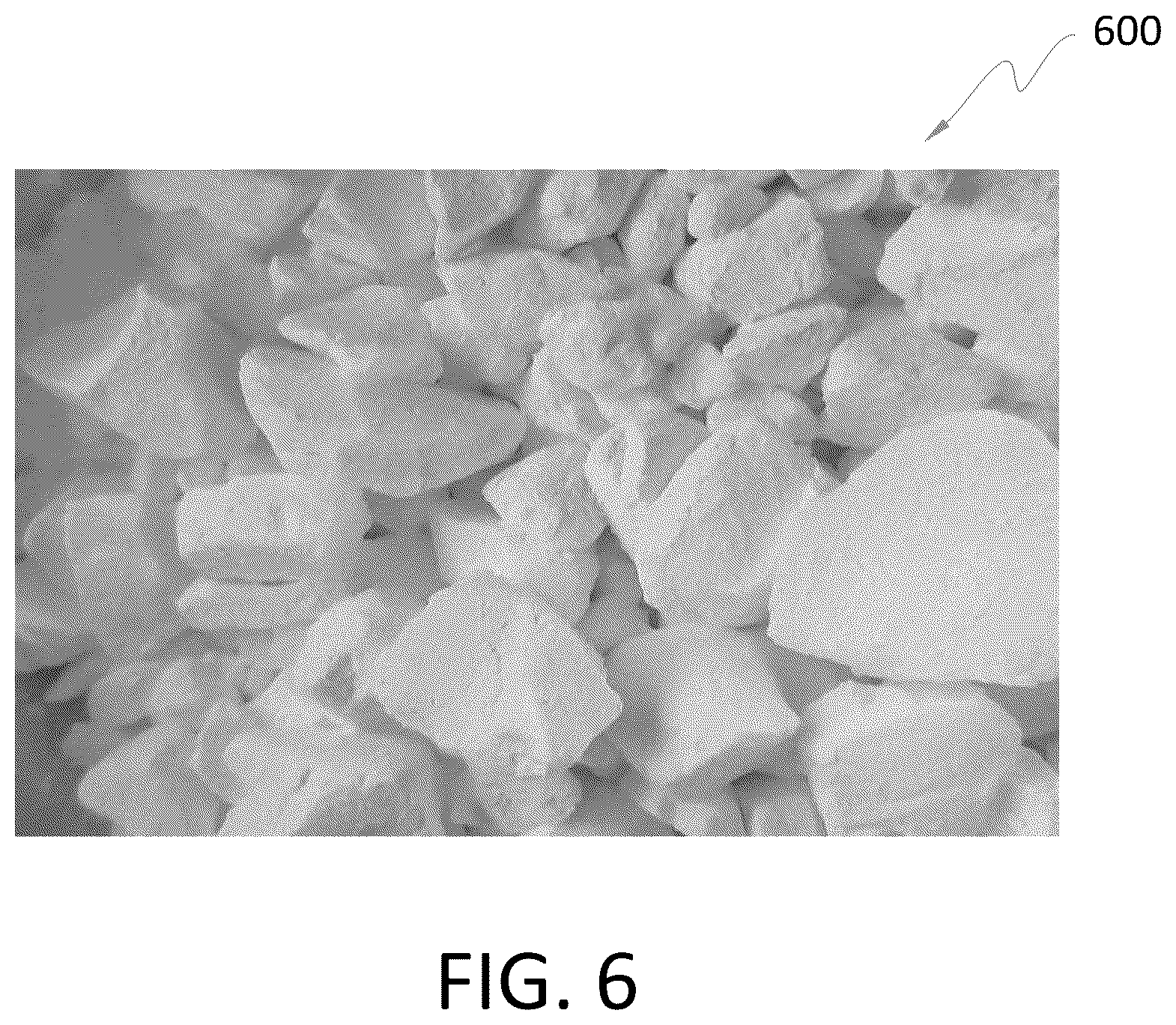 Patent US12417369 Figure 4 – Polysaccharide archival storage