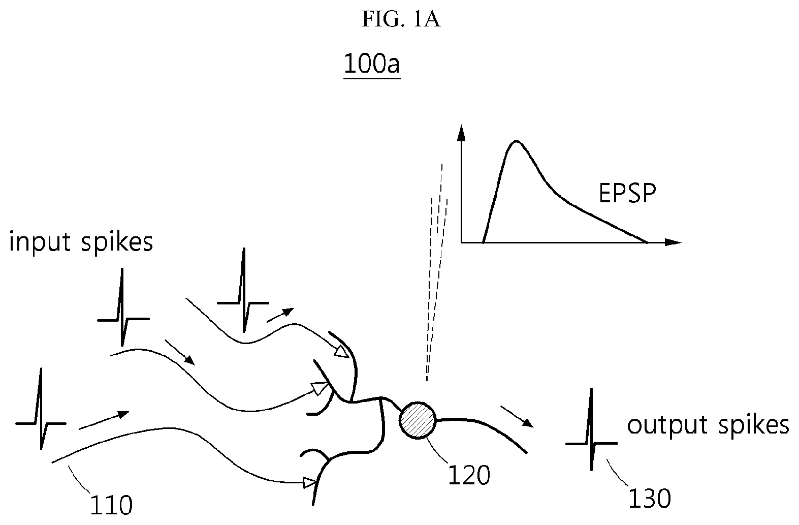 Patent US12417379 Figure 1 – Neuron and neuromorphic system including the neuron