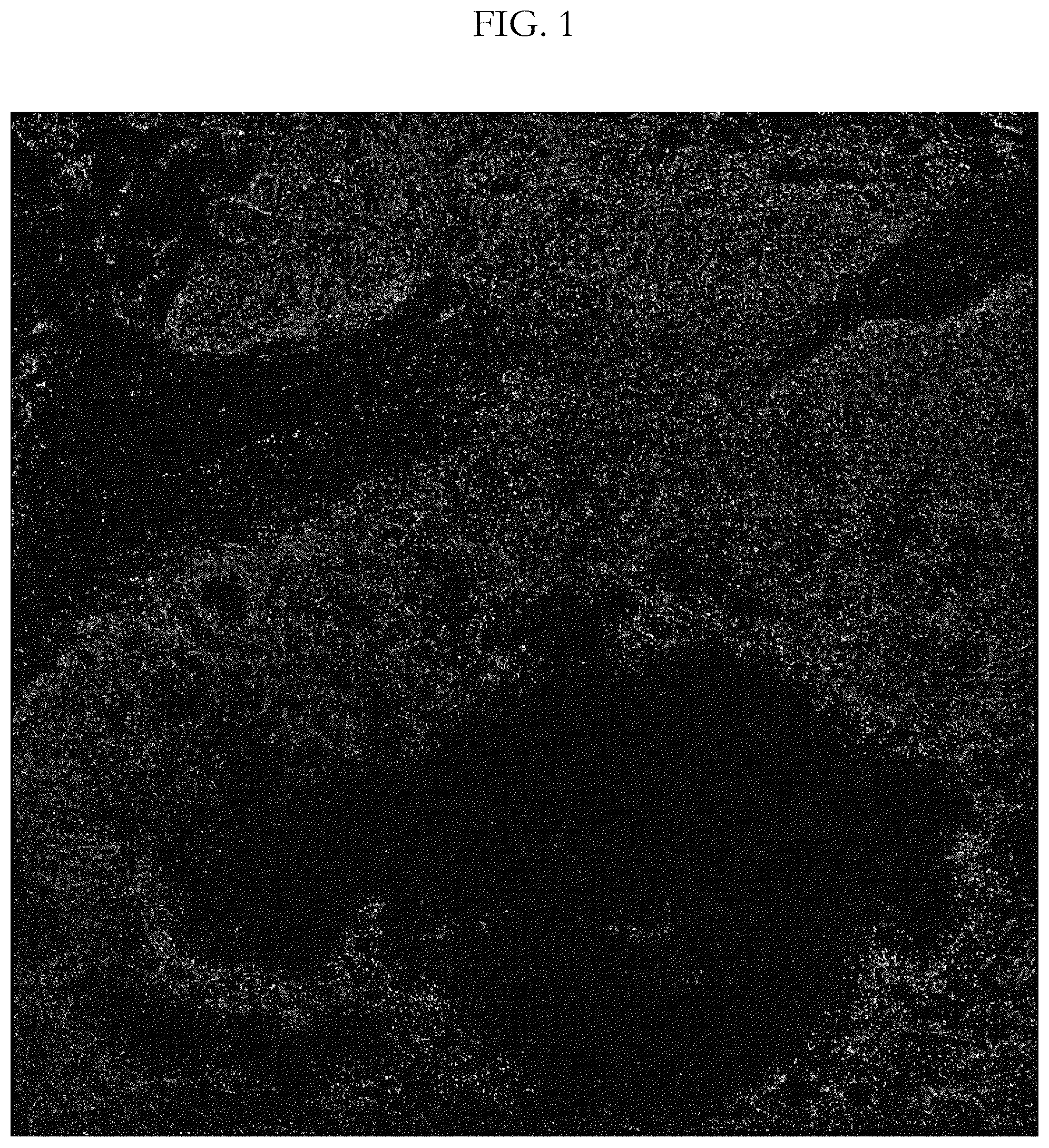 Patent US12417538 Figure 1 – Validation methods for multiplexed imaging method