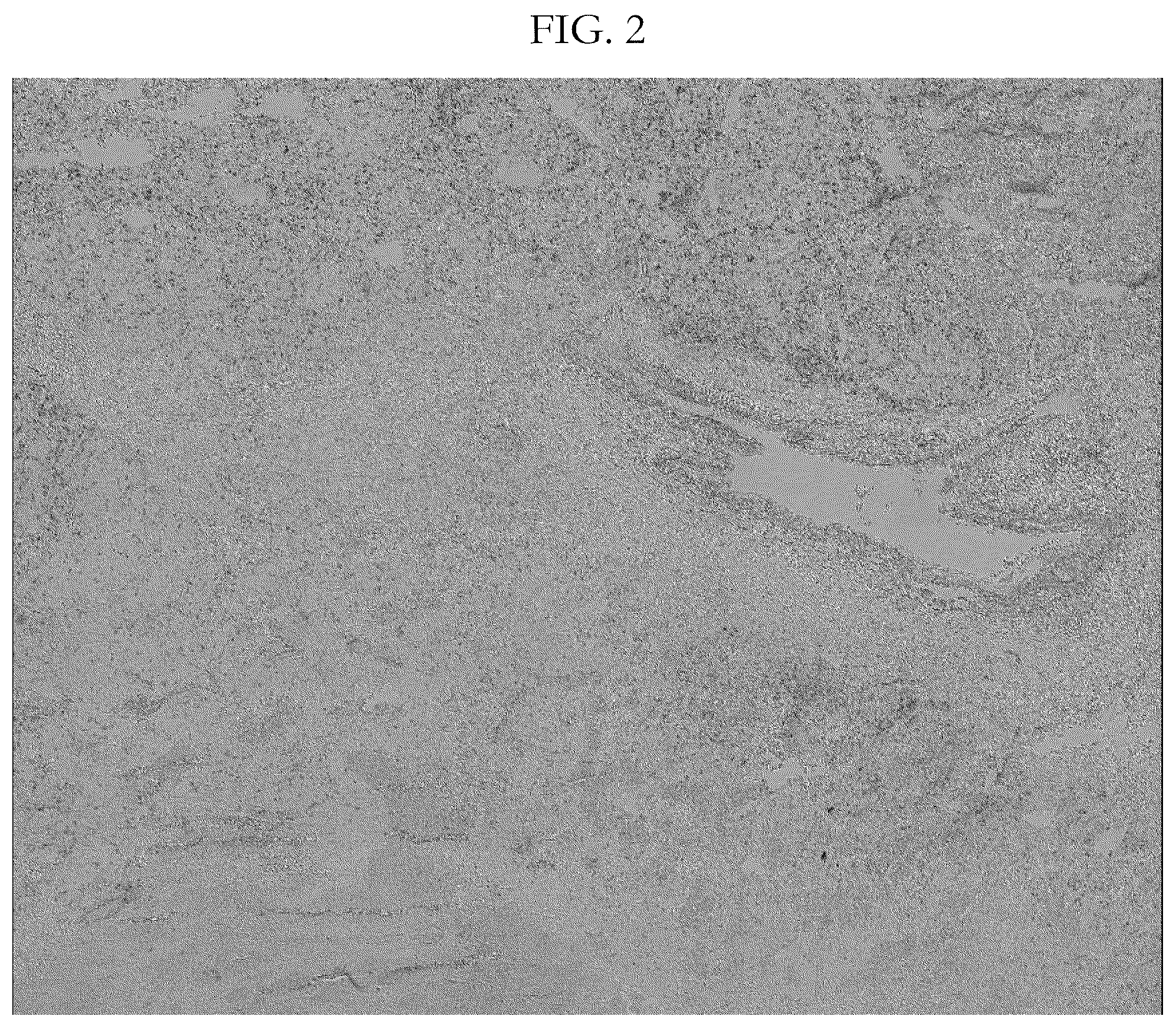 Patent US12417538 Figure 2 – Validation methods for multiplexed imaging method