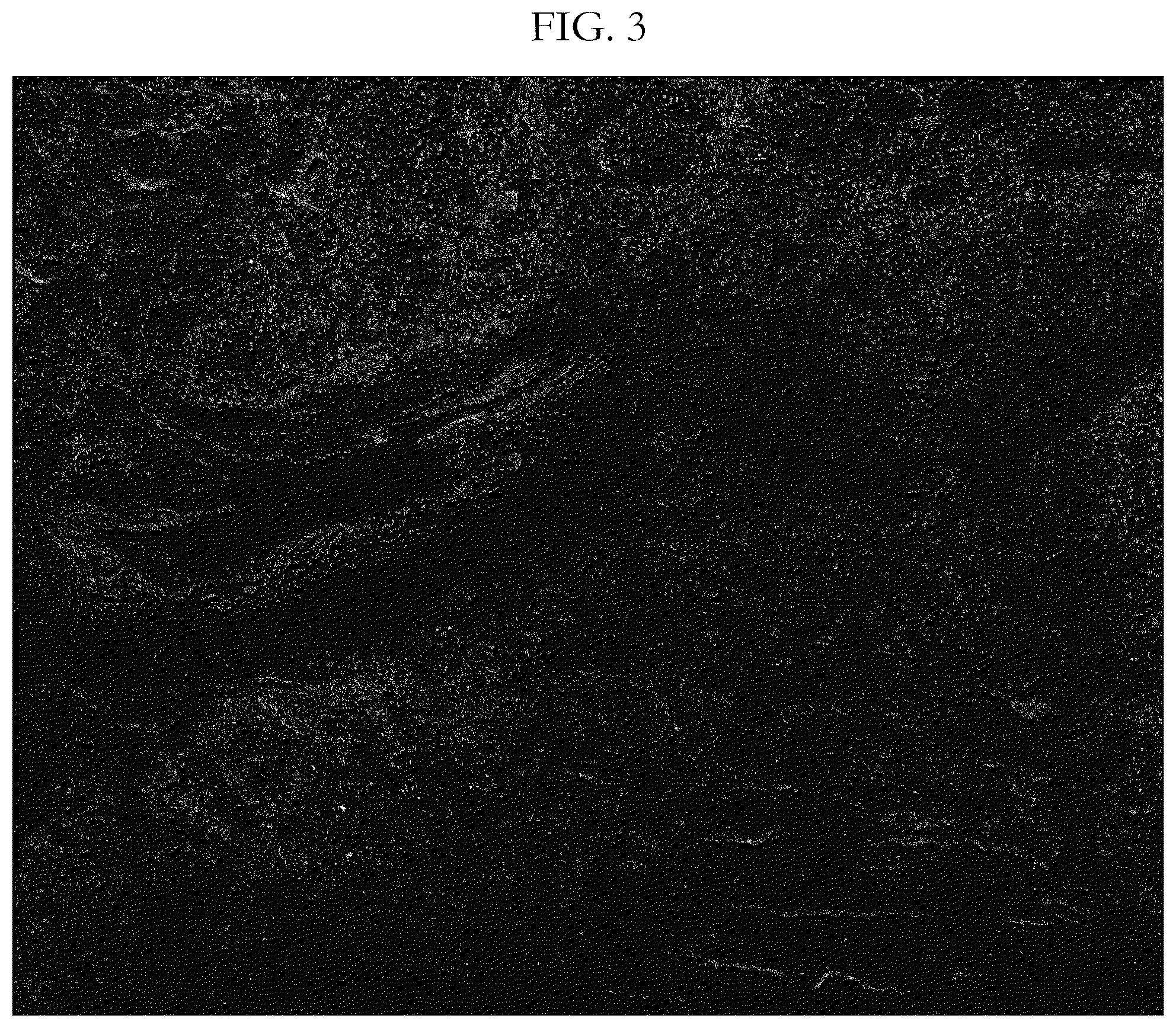 Patent US12417538 Figure 3 – Validation methods for multiplexed imaging method