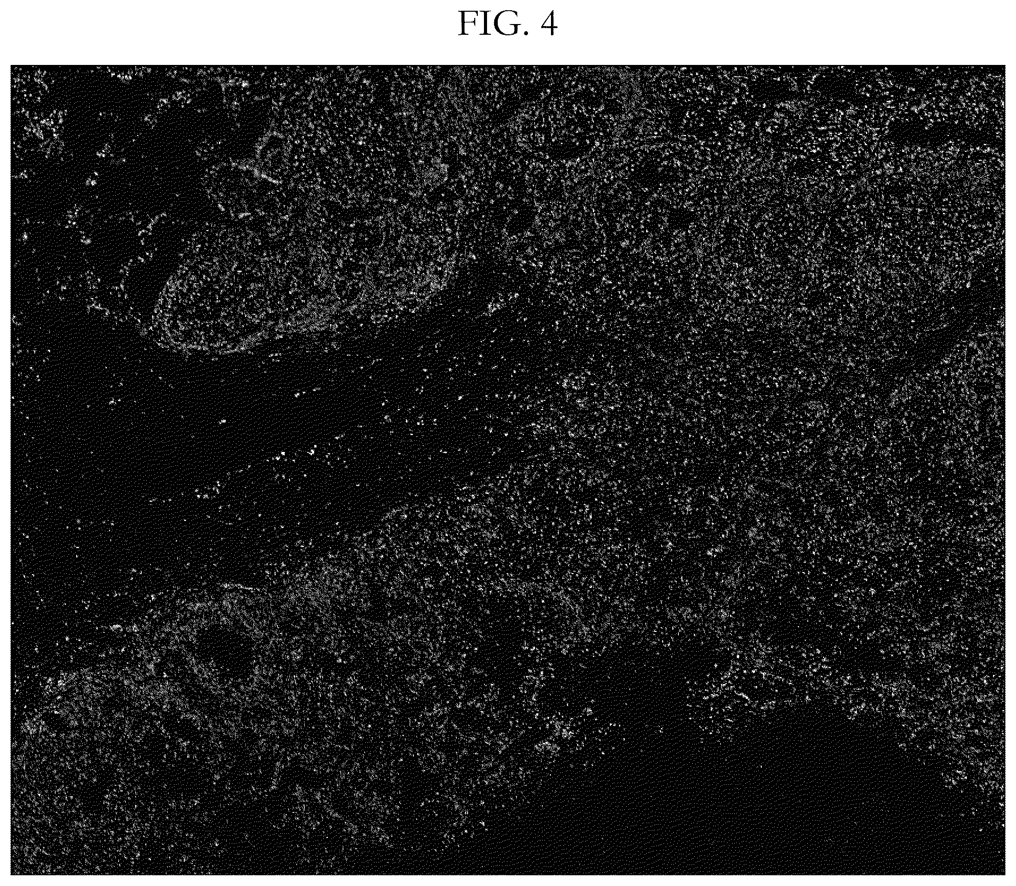 Patent US12417538 Figure 4 – Validation methods for multiplexed imaging method