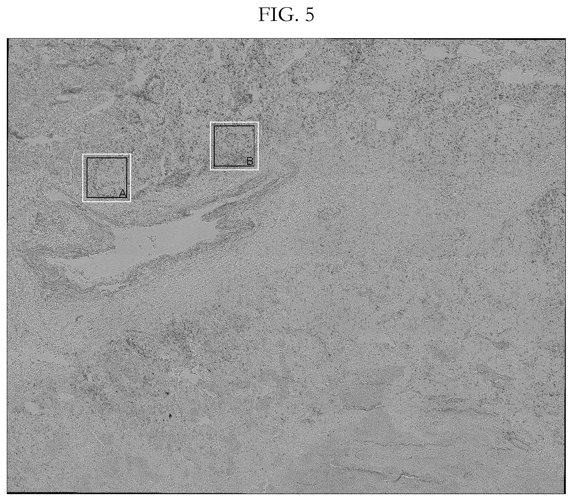 Patent US12417538 Figure 5 – Validation methods for multiplexed imaging method