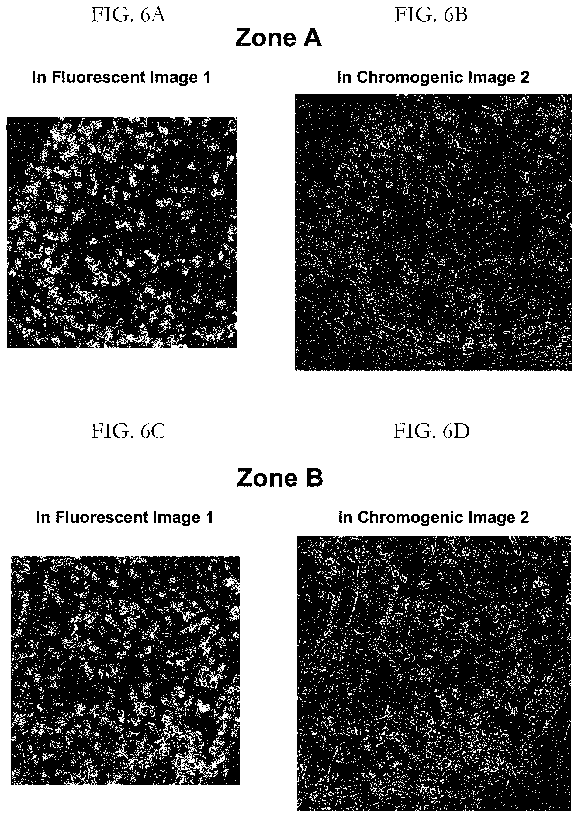 Patent US12417538 Figure 6 – Validation methods for multiplexed imaging method