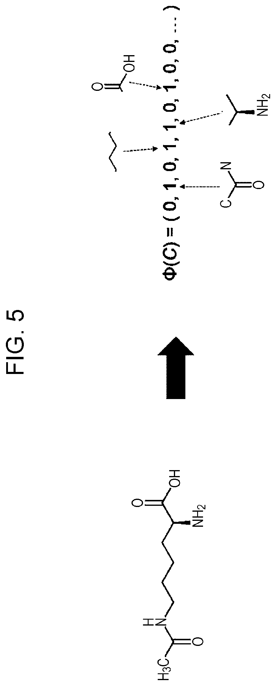 Patent US12417648 Figure 5 – Image analysis apparatus, image analysis method, and program