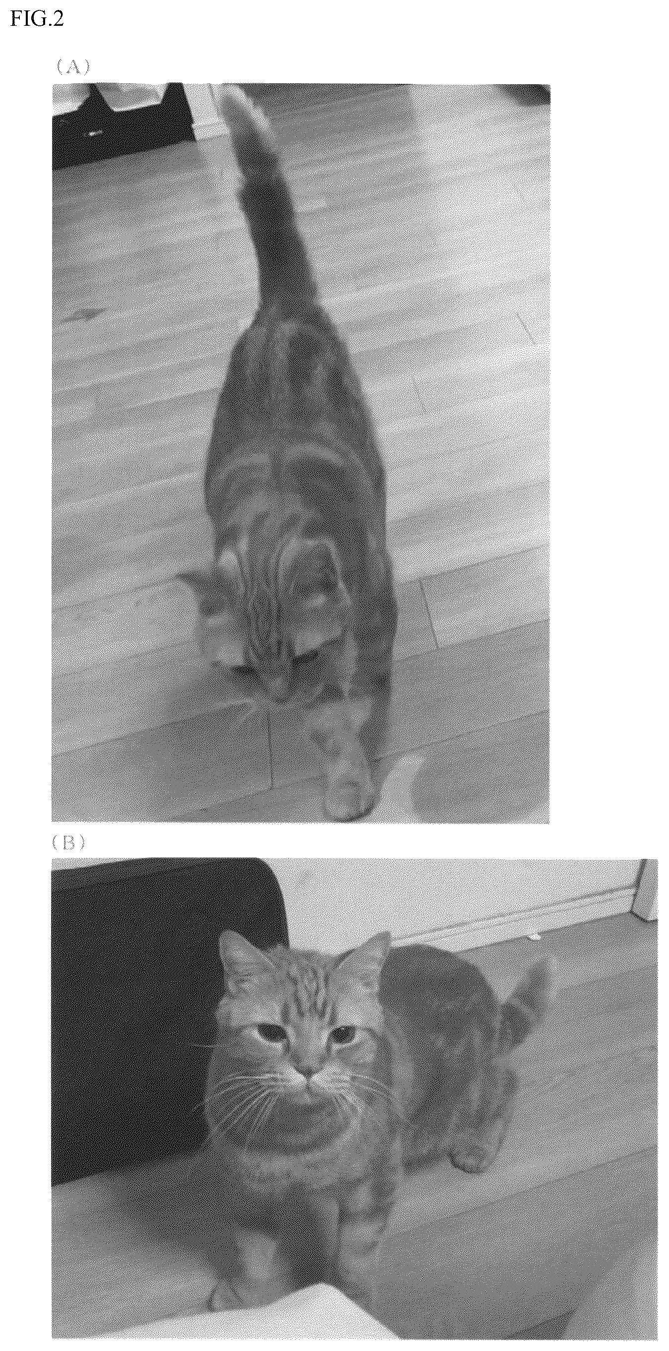 Patent US12417655 Figure 2 – Emotion determination system and method for determining emotion