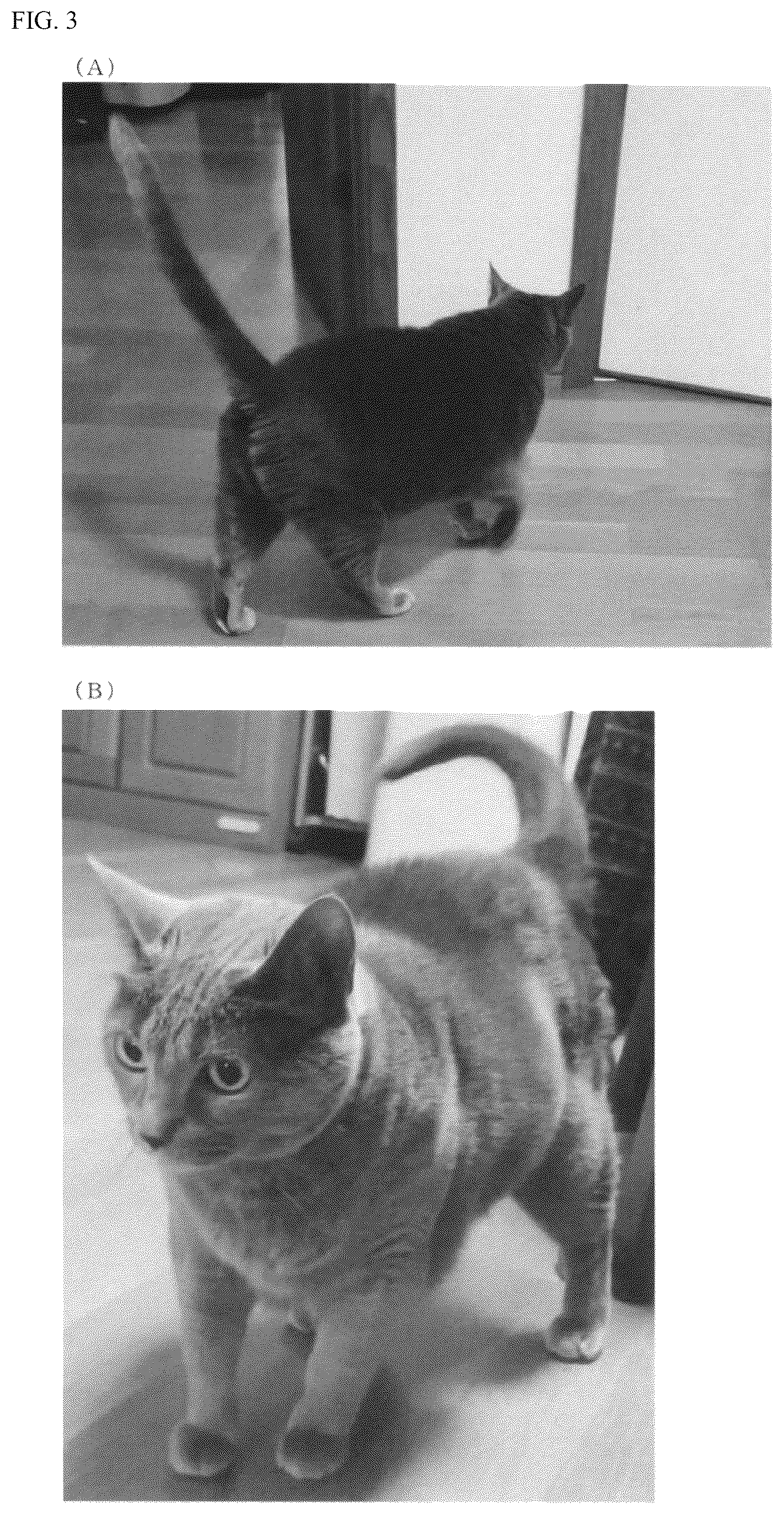 Patent US12417655 Figure 3 – Emotion determination system and method for determining emotion