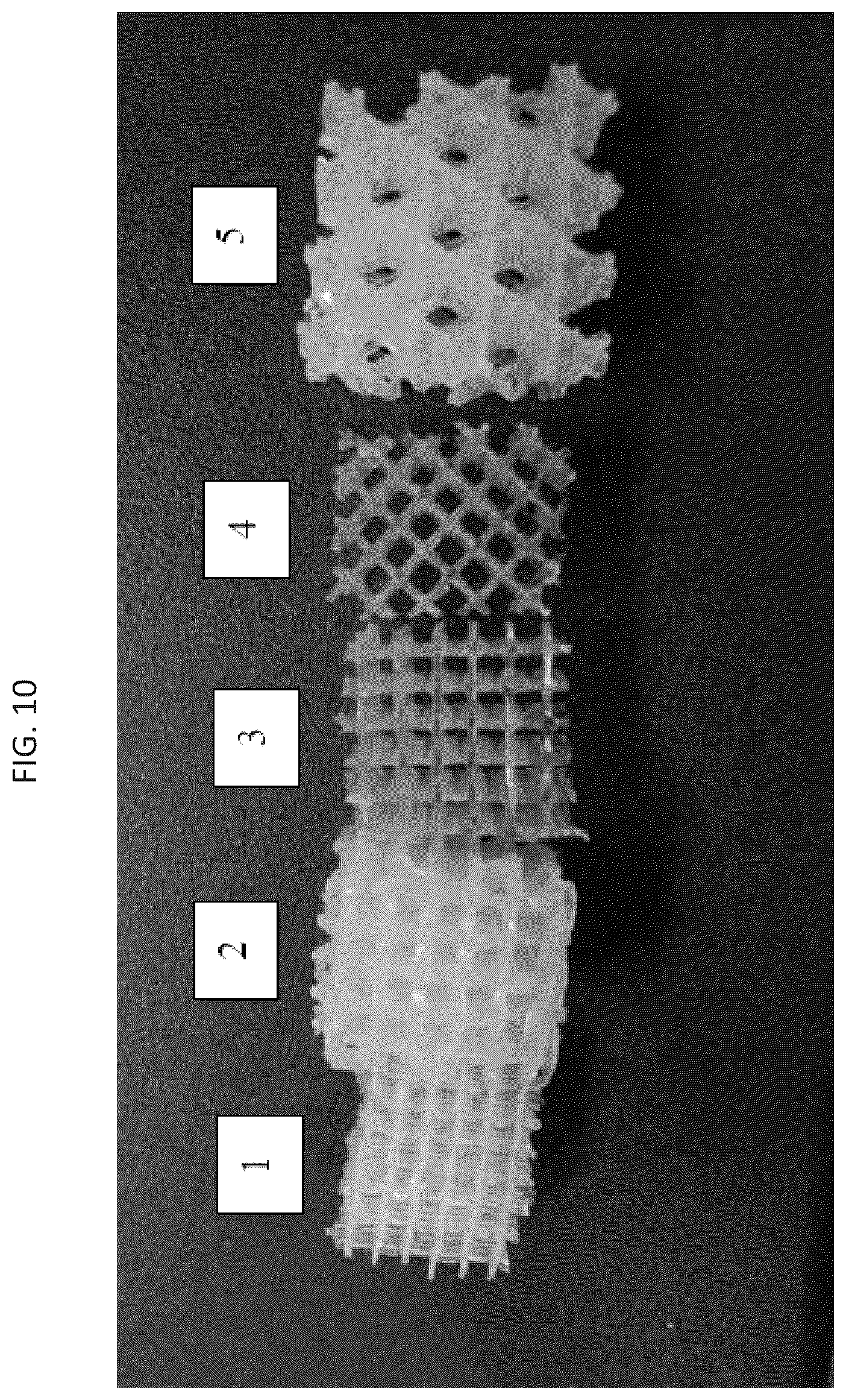 Patent US12417715 Figure 17 – Extrusion-based three-dimensional printed soft tissue mimic and method of manufacture thereof
