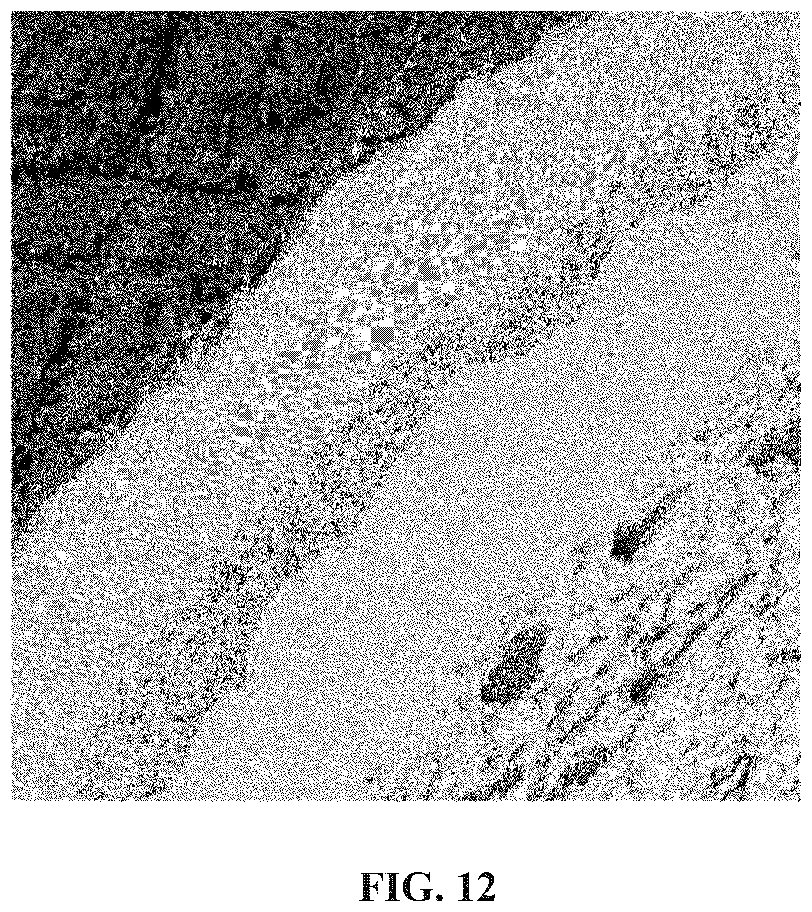 Patent US12417853 Figure 15 – Engineered SiC-SiC composite and monolithic SiC layered structures