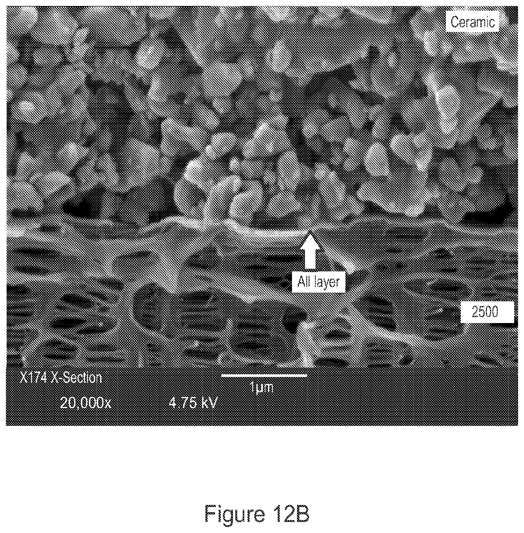 Patent US12417886 Figure 13 – Depositions or layers for microporous membranes, improved membranes, improved lithium battery separators, improved batteries, improved high voltage lithium batteries, and related methods