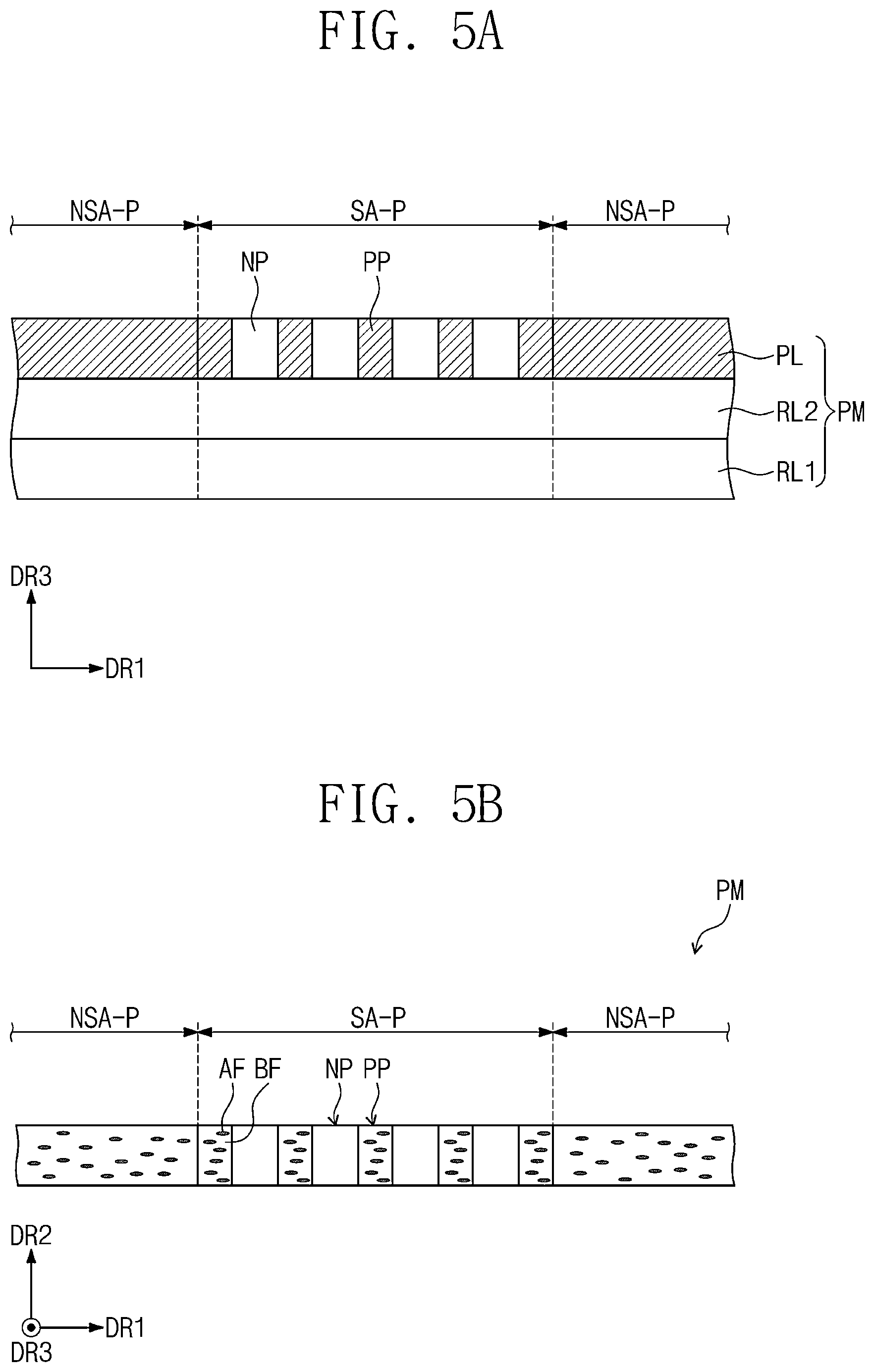 Patent US12417929 Figure 5 – Electronic apparatus with polarization plate and manufacturing method thereof