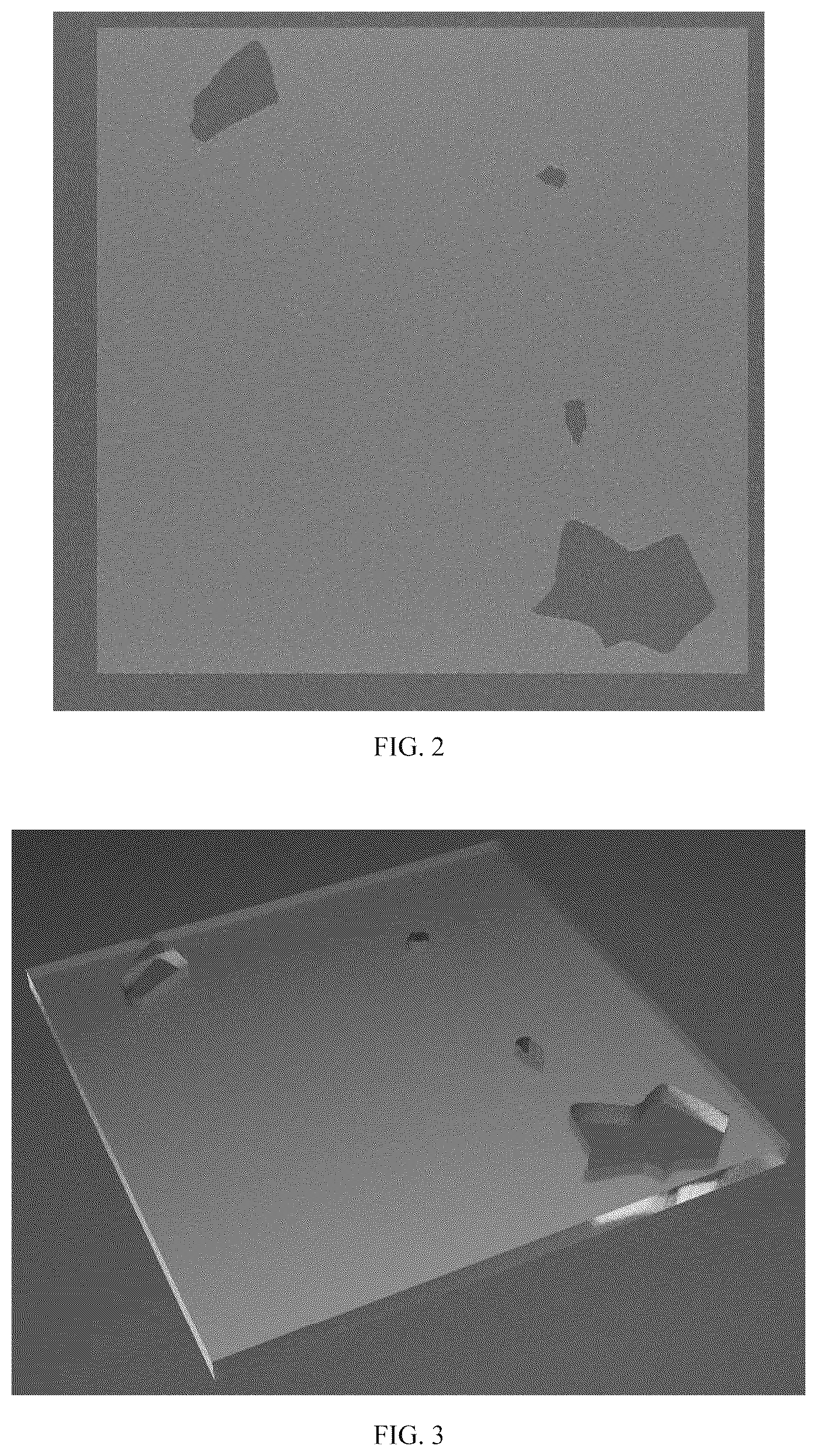 Patent US12422342 Figure 2 – Preparation method of micro-nanofluidic model of triple-medium carbonate reservoir