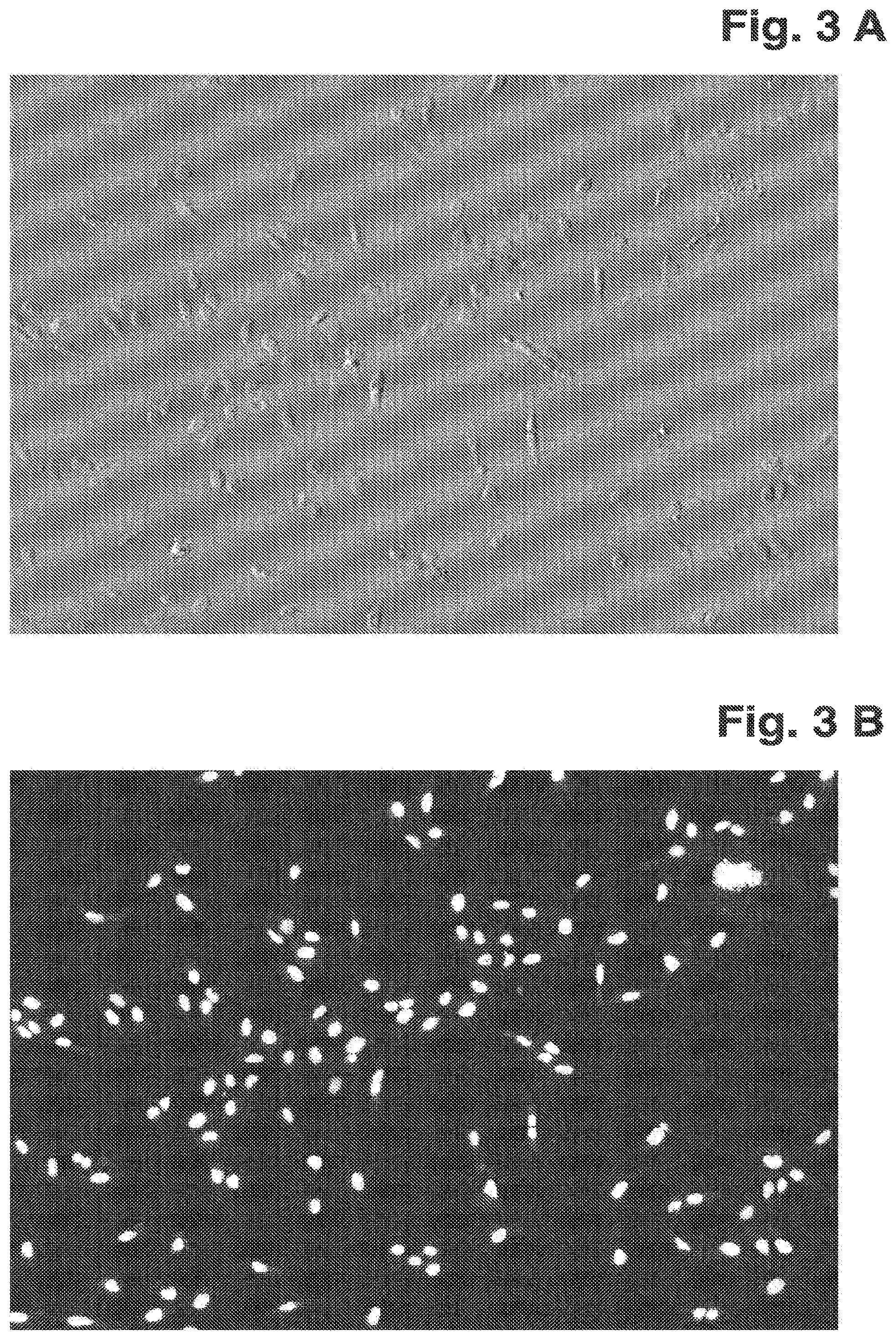 Patent US12422347 Figure 7 – Depicting of objects