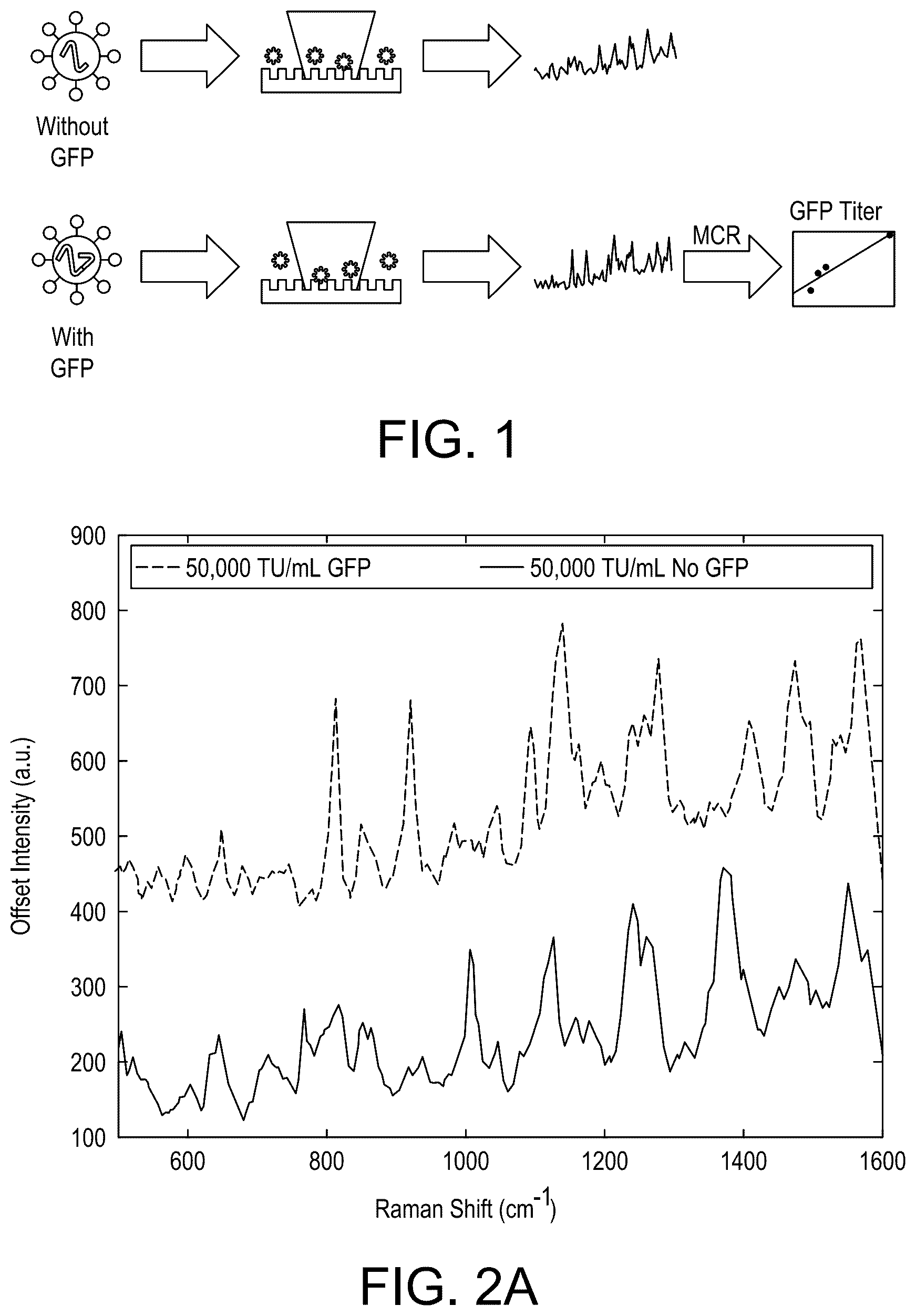 Patent US12422367 — Methods for determination of virus titer in a sample using Raman spectroscopy — Figure 1