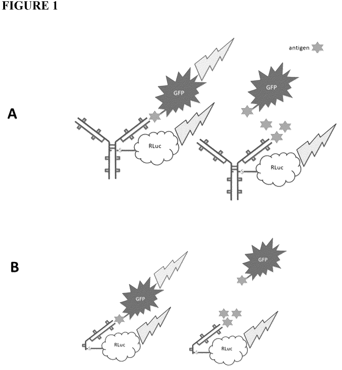 Patent US12422369 Figure 1 – Immunosensor
