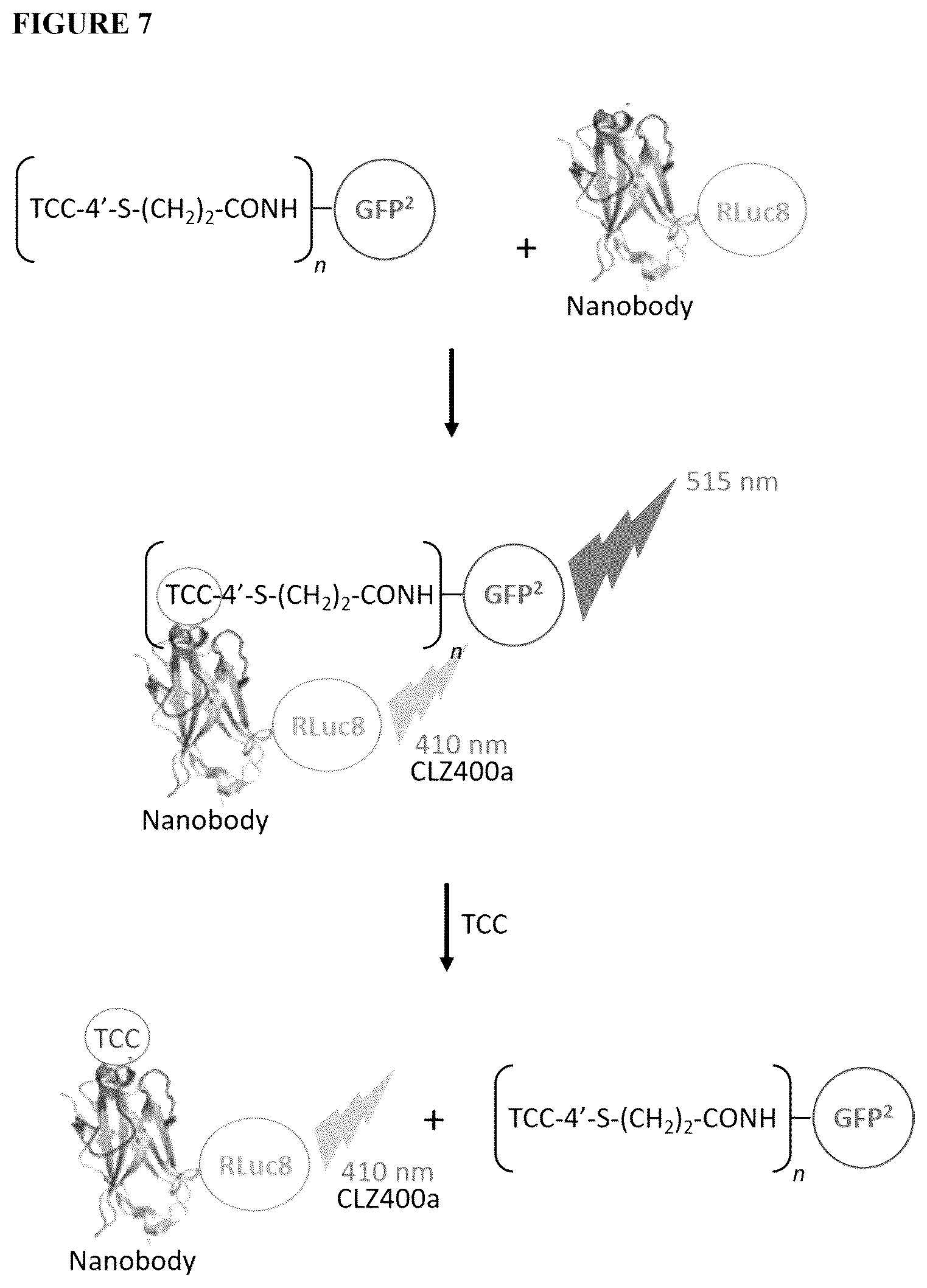Patent US12422369 Figure 5 – Immunosensor