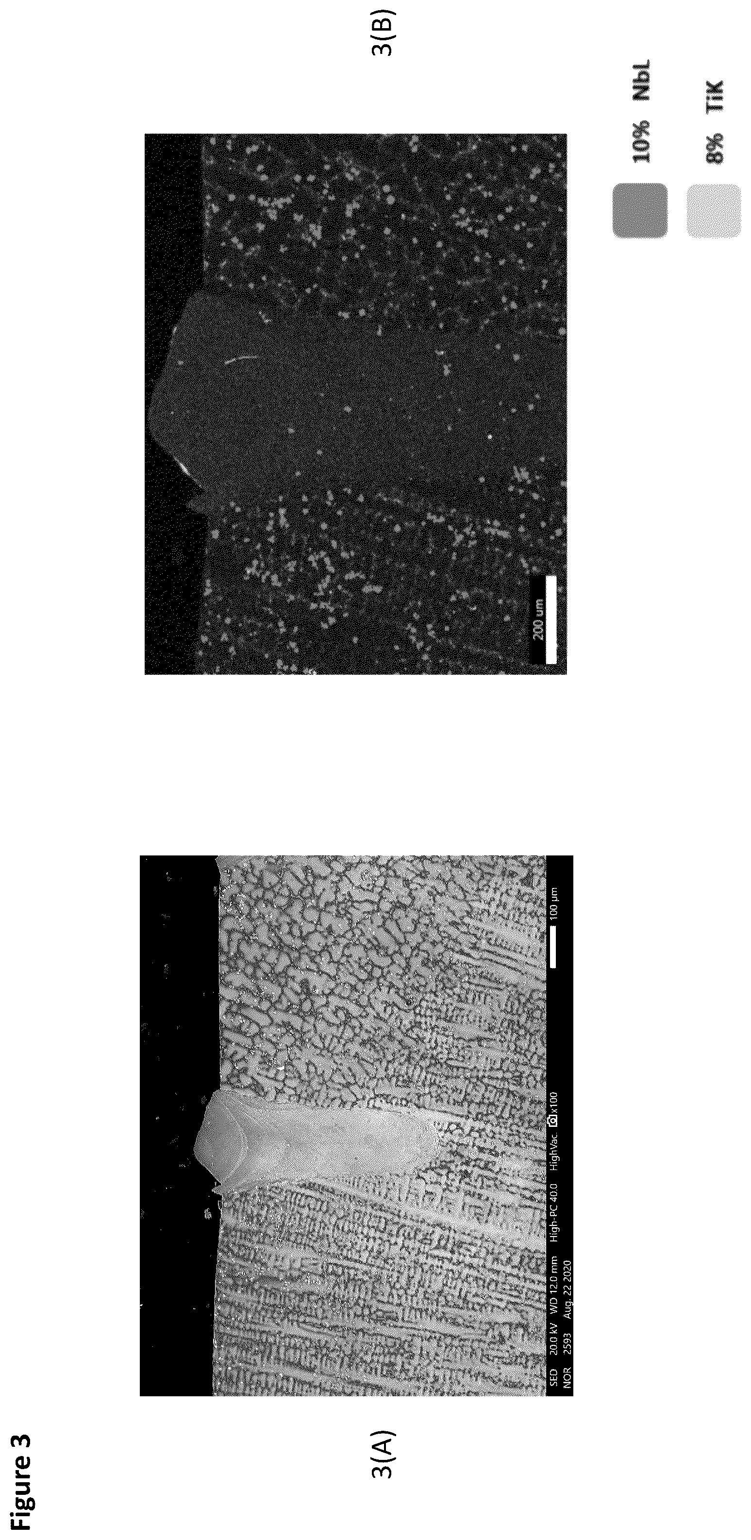 Patent US12422424 Figure 3 – Additive manufacturing test method for metallic alloy compositions and methods of making the same
