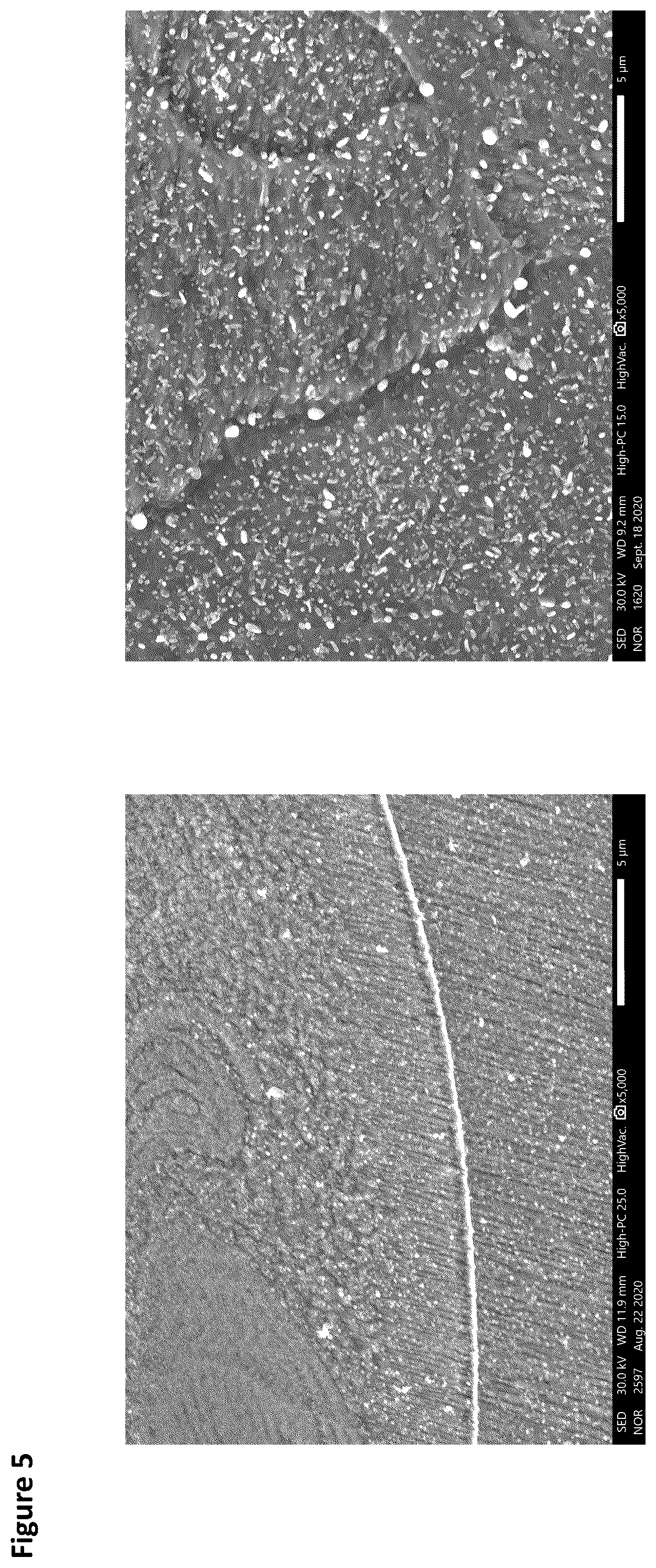 Patent US12422424 Figure 5 – Additive manufacturing test method for metallic alloy compositions and methods of making the same