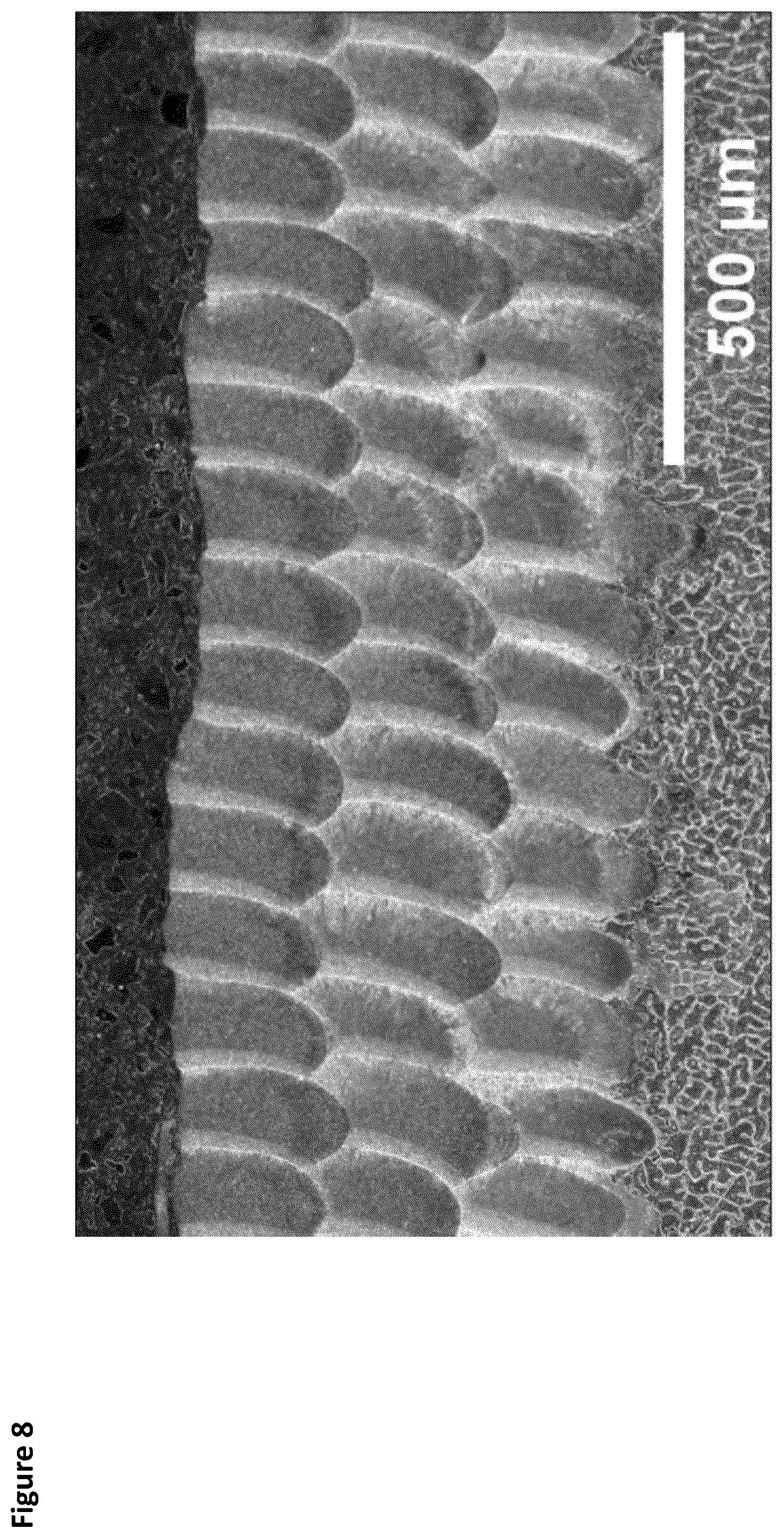 Patent US12422424 Figure 8 – Additive manufacturing test method for metallic alloy compositions and methods of making the same