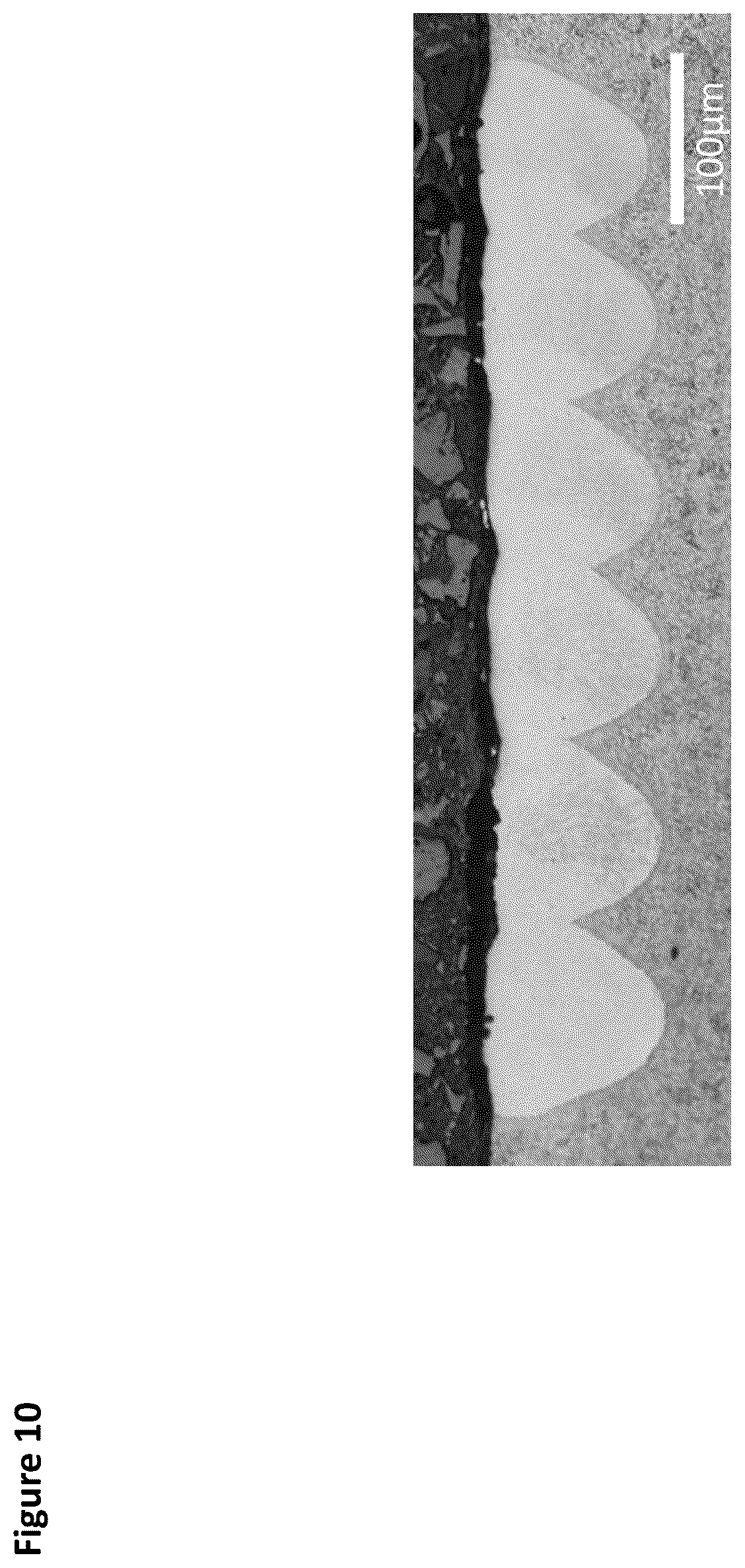 Patent US12422424 Figure 10 – Additive manufacturing test method for metallic alloy compositions and methods of making the same