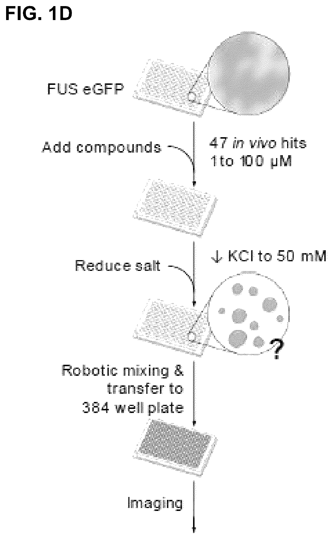 Patent US12422427 Figure 4 – Compounds for treatment of diseases and methods of screening therefor