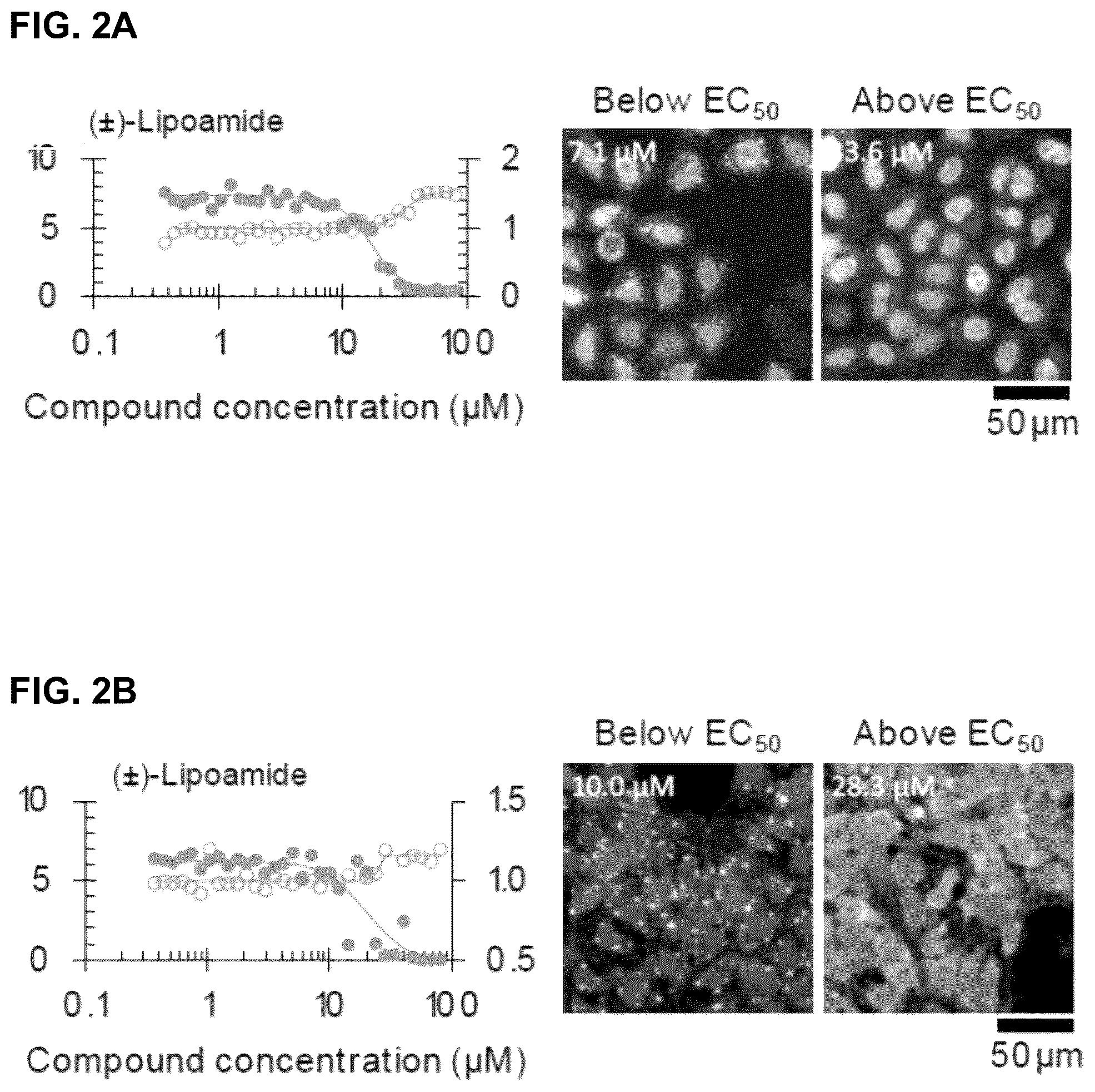 Patent US12422427 Figure 7 – Compounds for treatment of diseases and methods of screening therefor