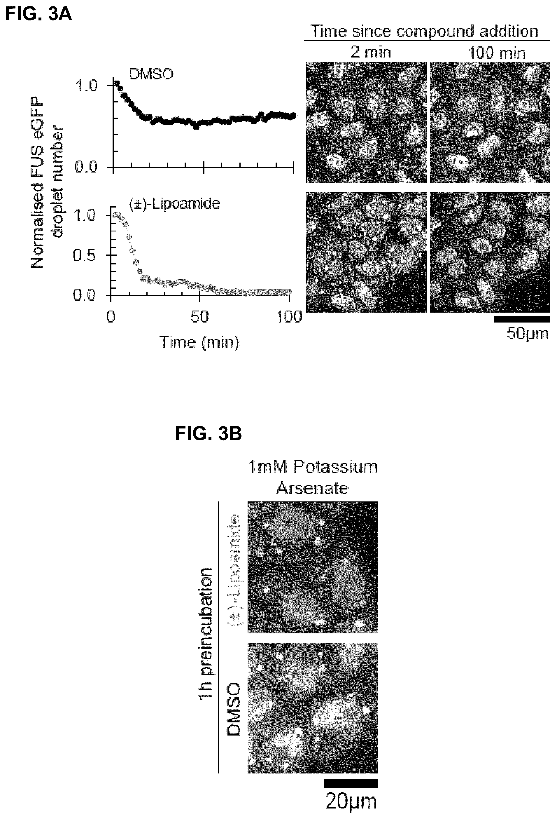 Patent US12422427 Figure 10 – Compounds for treatment of diseases and methods of screening therefor