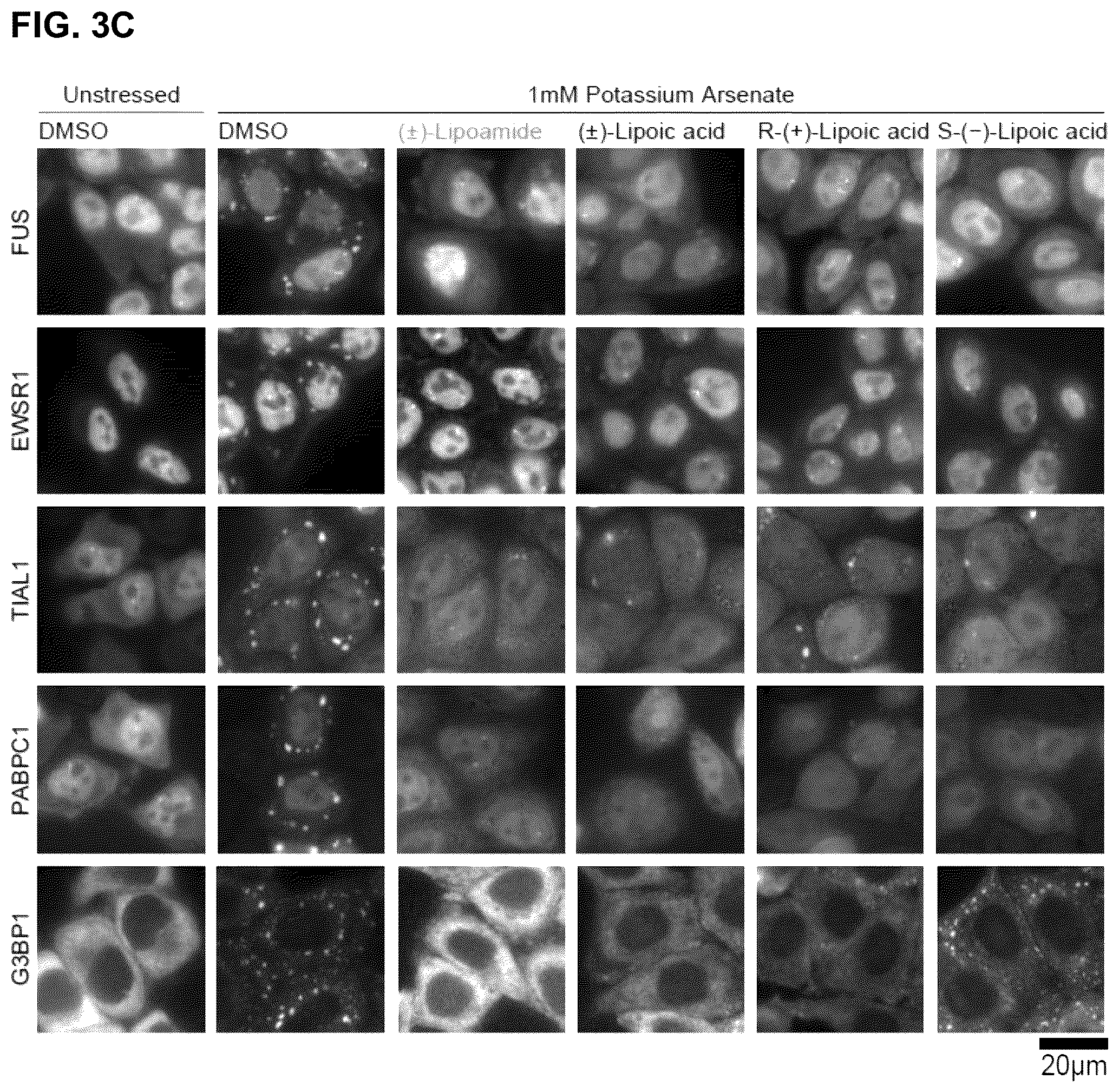 Patent US12422427 Figure 11 – Compounds for treatment of diseases and methods of screening therefor