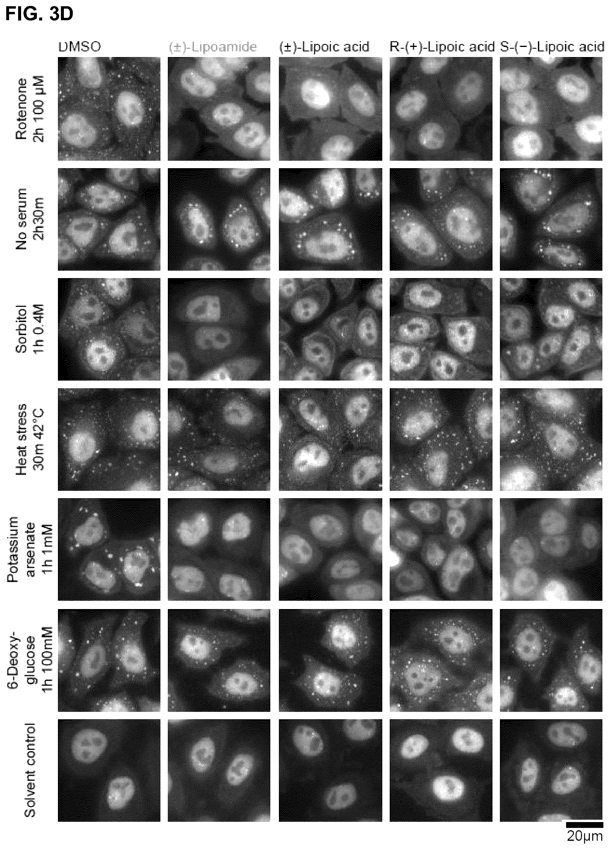 Patent US12422427 Figure 12 – Compounds for treatment of diseases and methods of screening therefor